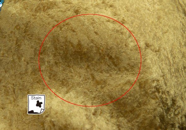 11186490_1