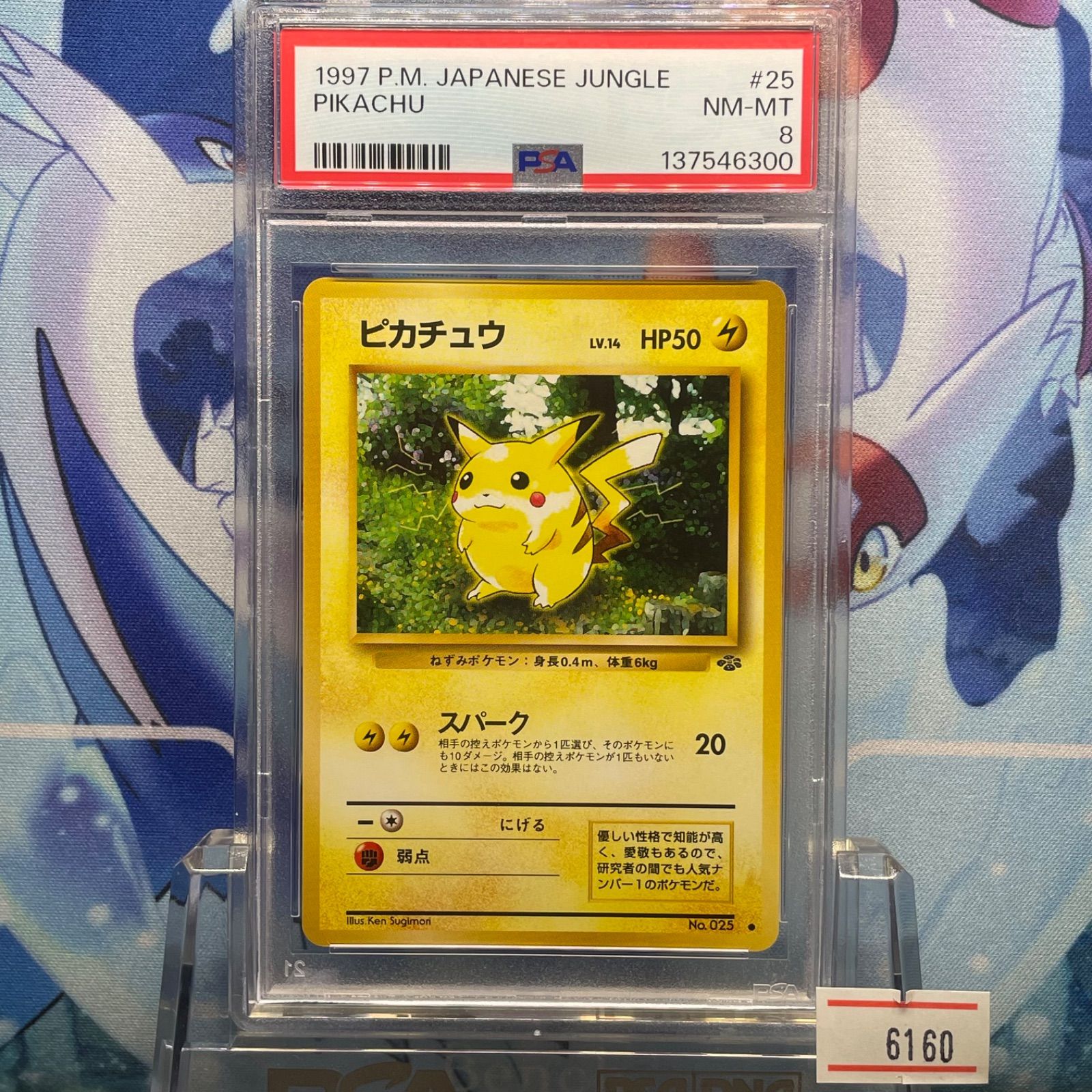 PSA8 ピカチュウ C 旧裏 PMCG LV.14 ポケモンジャングル 025 1997 A