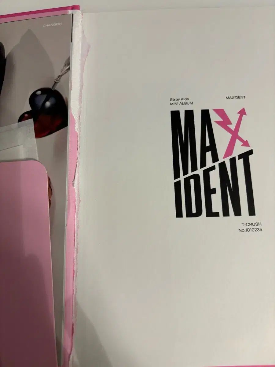 Stray Kids MAXIDENT サイン入りアルバム (トレカ チャンビン