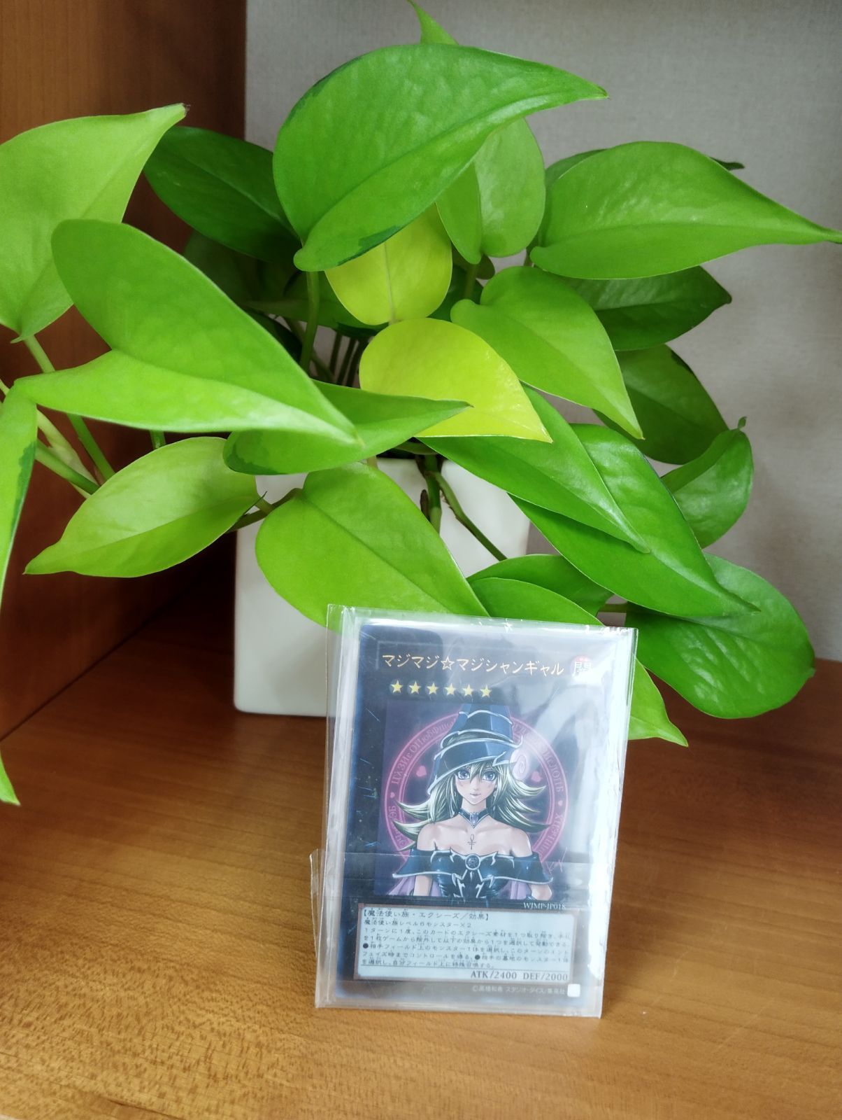 遊戯王カード 【マジマジ☆マジシャンギャル】【ウルトラ】 WJMP-JP018