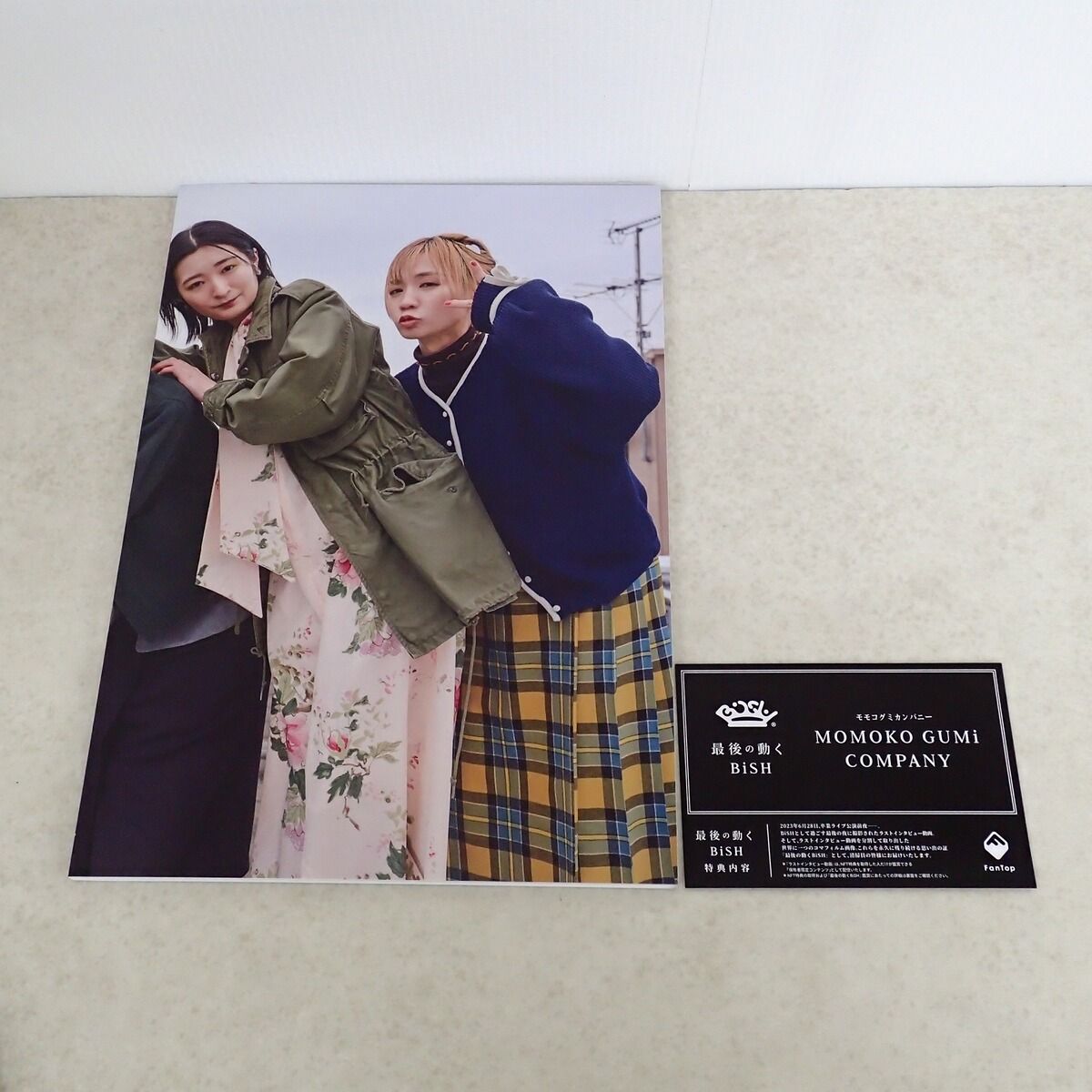 GRADUATiON BiSH 永遠 モモコグミカンパニー ソロデラックス版 - メルカリ