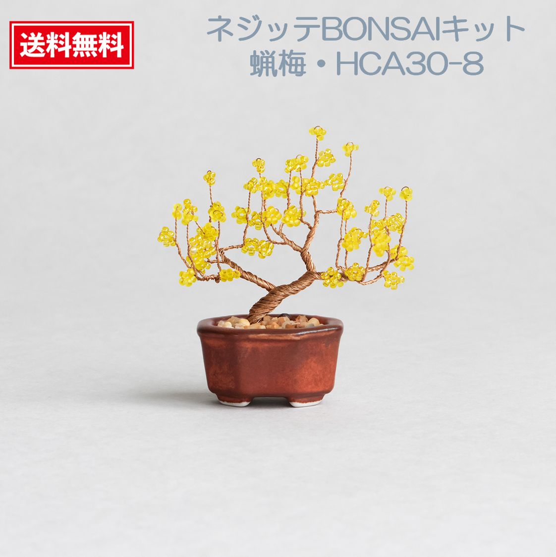 【ハンドメイドキット】 MIYUKI（ミユキ）　ネジッテBONSAIキット　『蝋梅・HCA30-8』