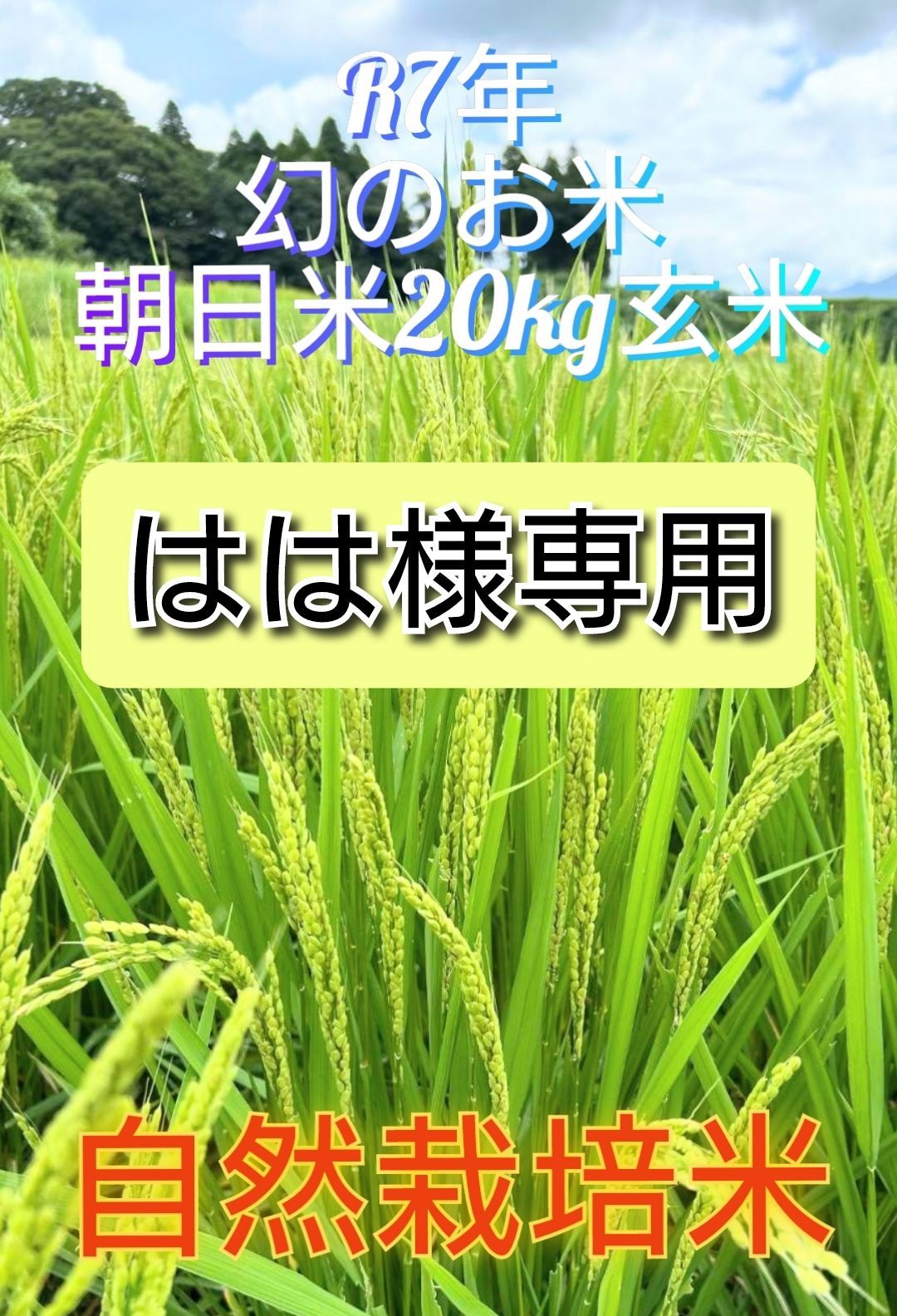 R7年 自然栽培米 朝日米20kg玄米 - メルカリ
