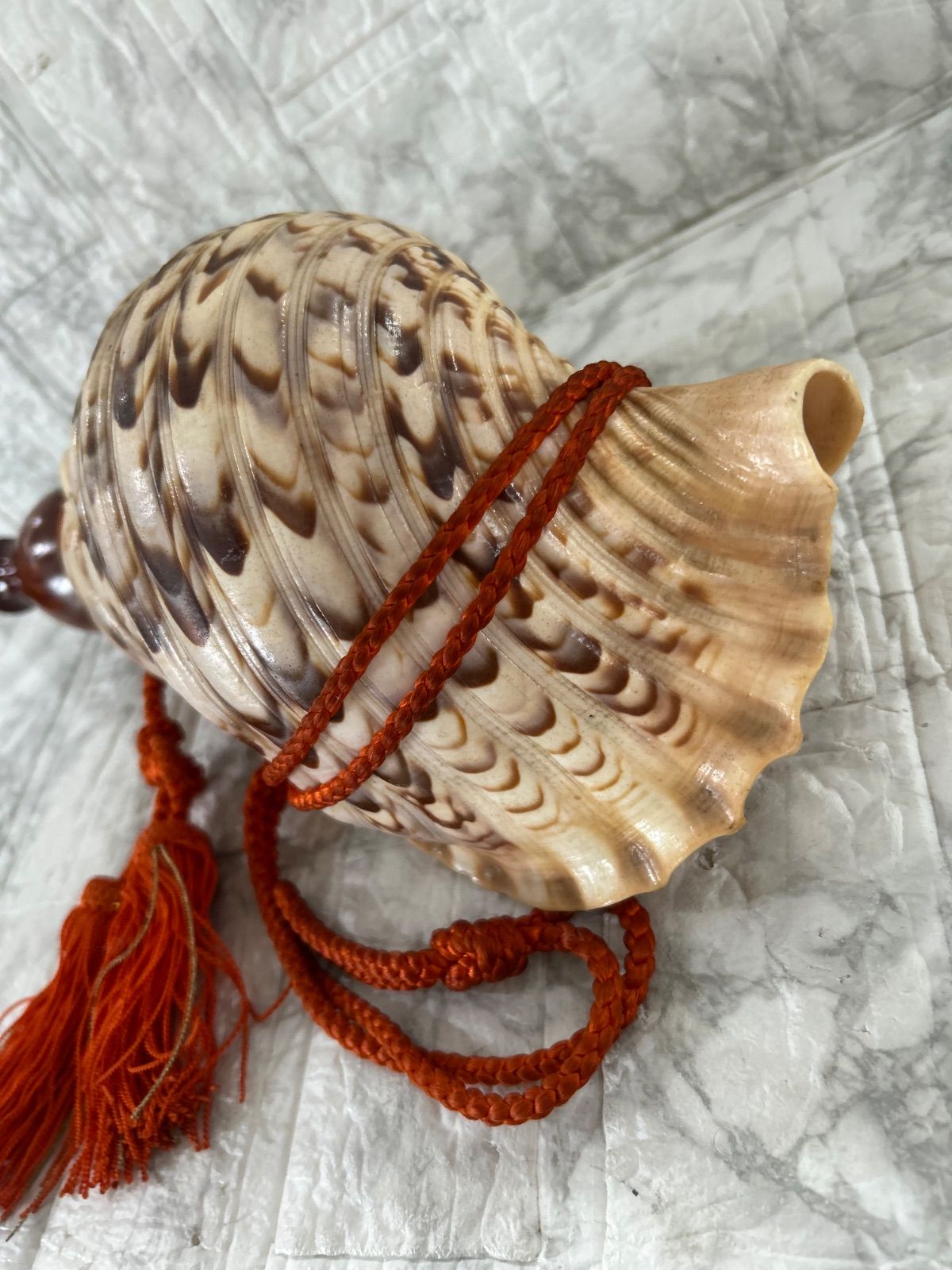 ホラ貝 法螺貝 螺貝 ラッパ 雅楽 和楽器 古玩 旧家 蔵出 骨董品