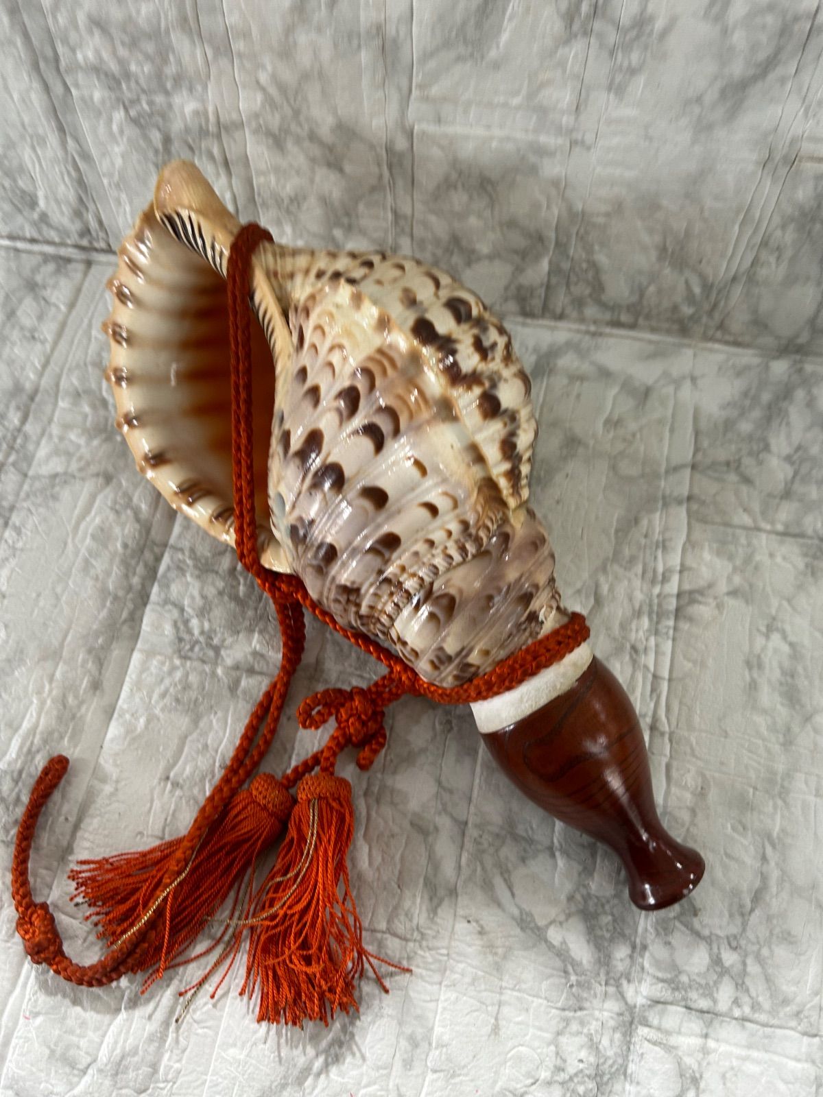 ホラ貝 法螺貝 螺貝 ラッパ 雅楽 和楽器 古玩 旧家 蔵出 骨董品 | Shop