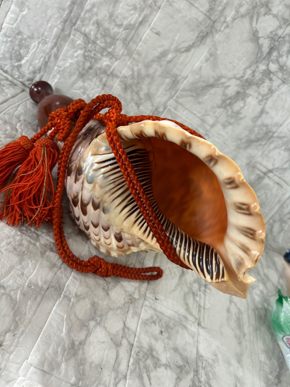 ホラ貝 法螺貝 螺貝 ラッパ 雅楽 和楽器 古玩 旧家 蔵出 骨董品