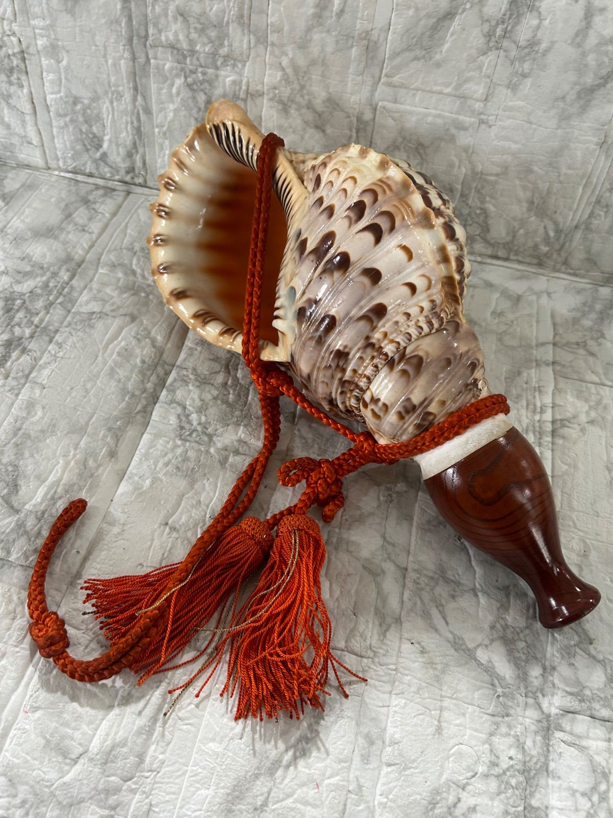 ホラ貝 法螺貝 螺貝 ラッパ 雅楽 和楽器 古玩 旧家 蔵出 骨董品 | Shop