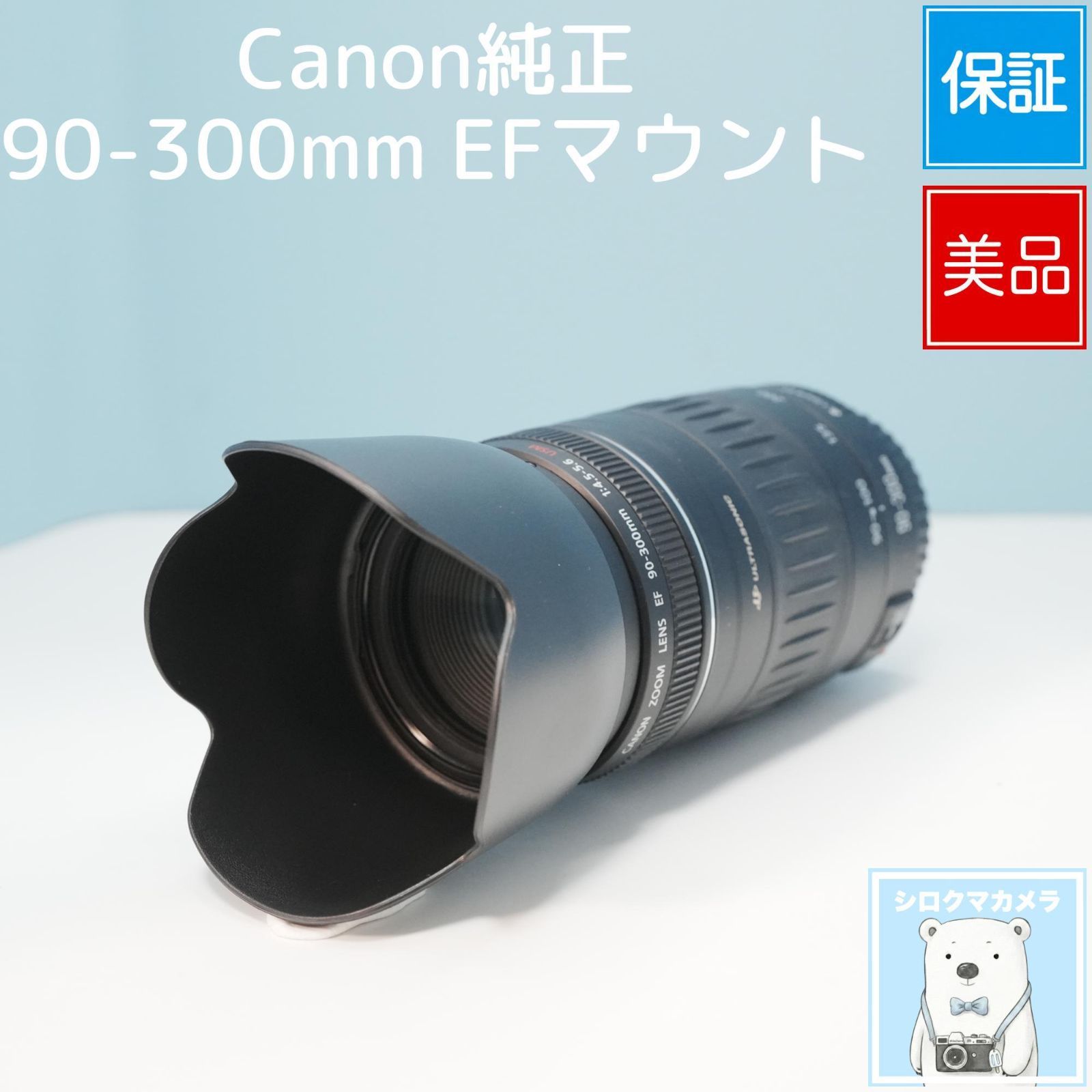 Canon キヤノン 望遠レンズ EF 90-300mm 1:4.5-5.6 - ♢望遠はここから