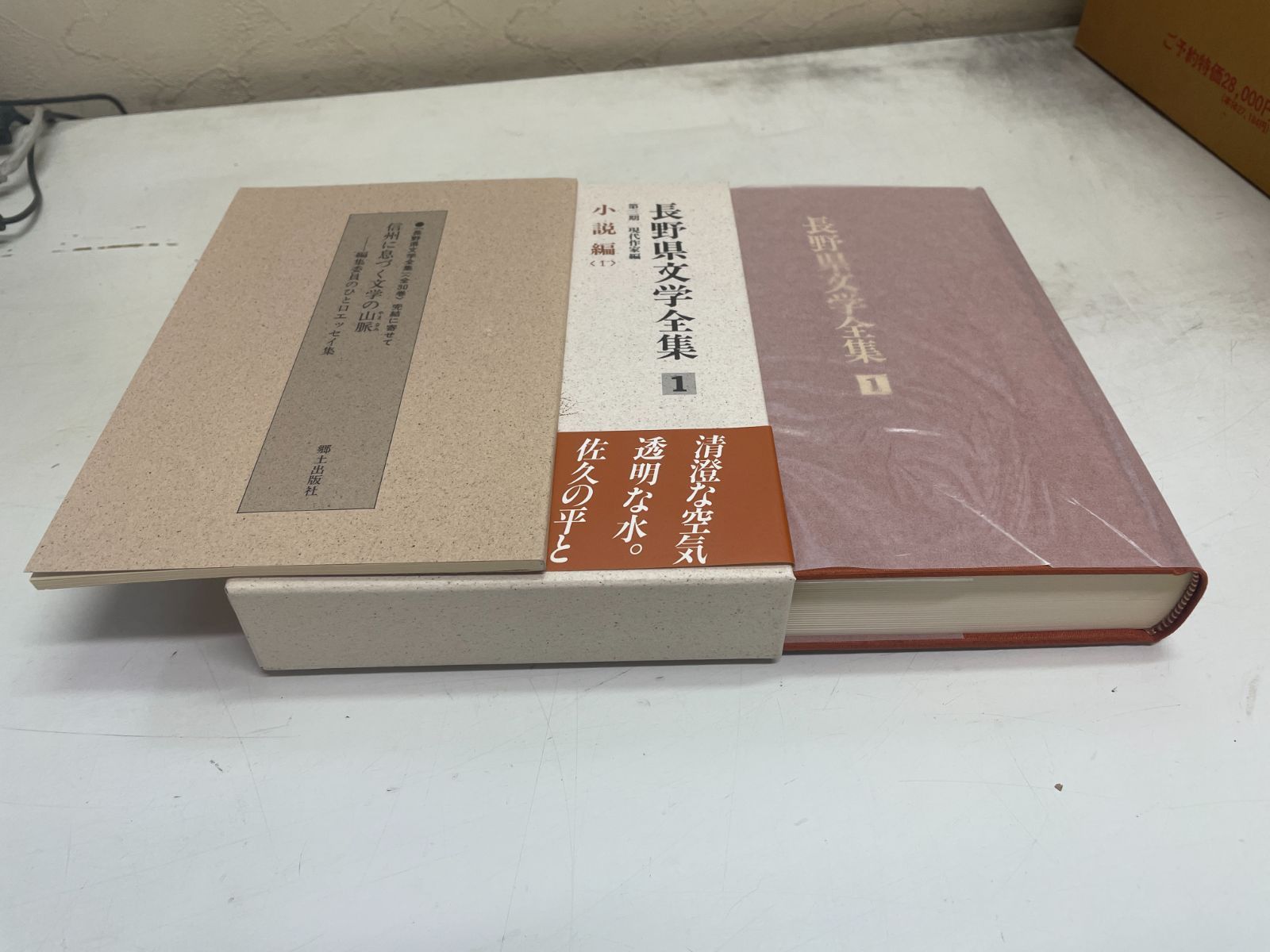 全巻セット】長野県文学全集 第3期現代作家編 全10巻セット - メルカリ