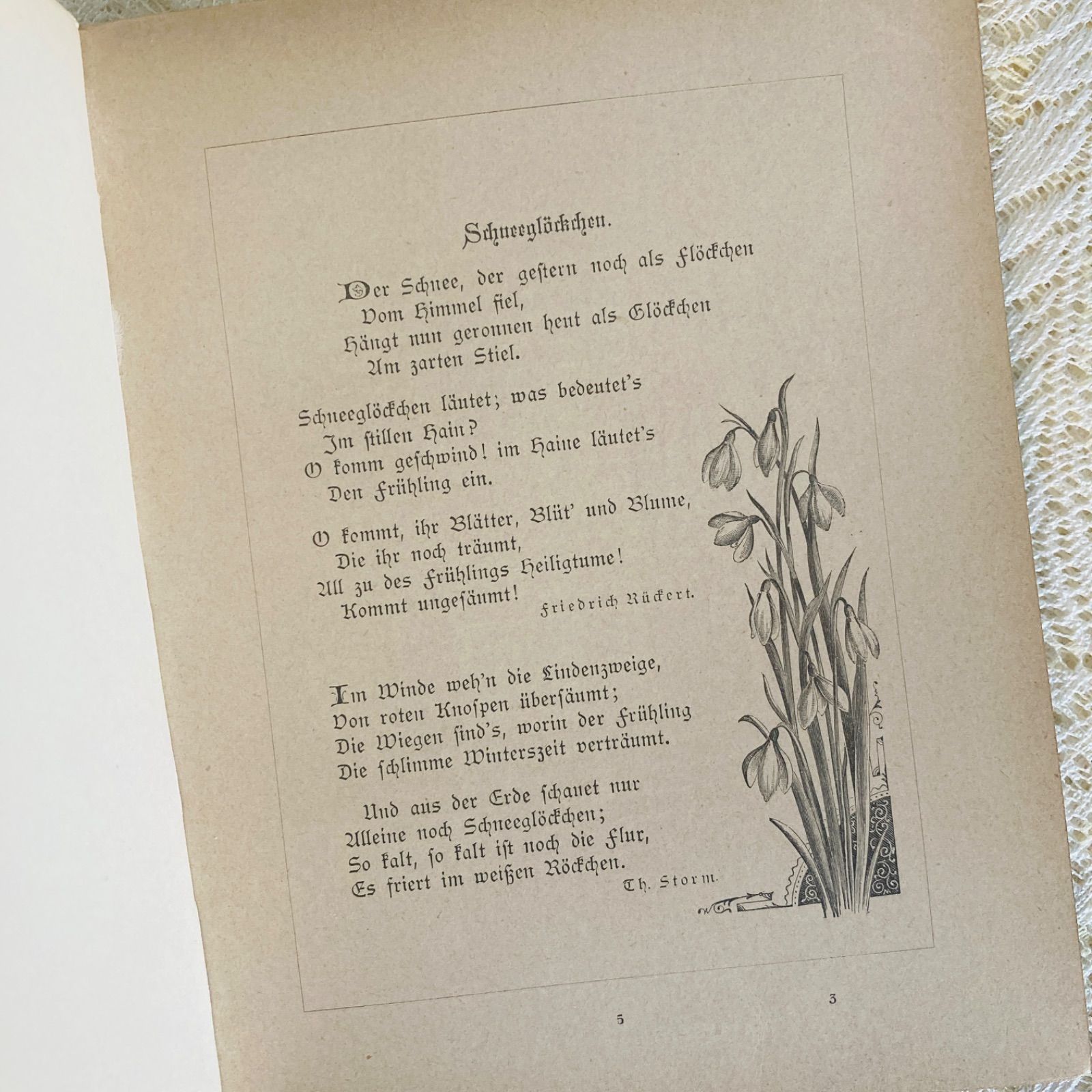 可憐な花装丁のアンティーク詩集 1893年頃 ドイツ語古書 インテリア