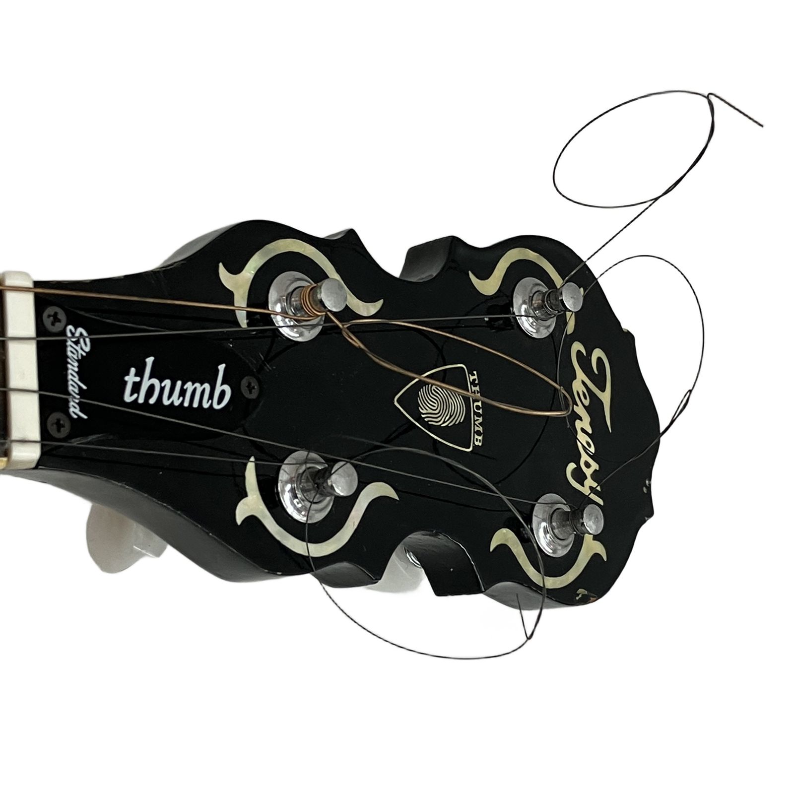 Tenesy Thumb Standard テネシー 6弦 ギターバンジョー thumb 寺田楽器 