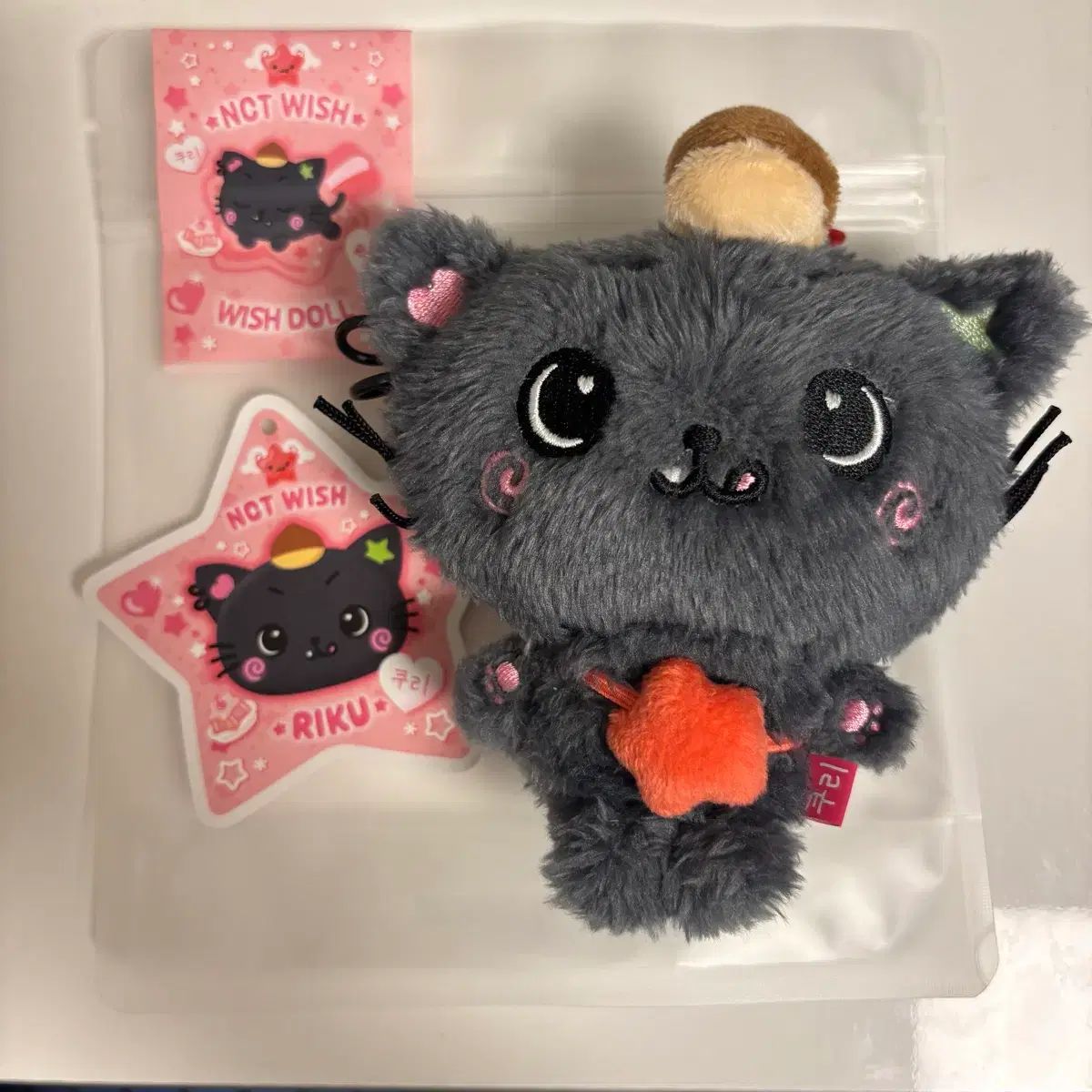 公式品 NCT WISH リク RIKU ぬいぐるみ wishdoll クリ WISH リク NCT