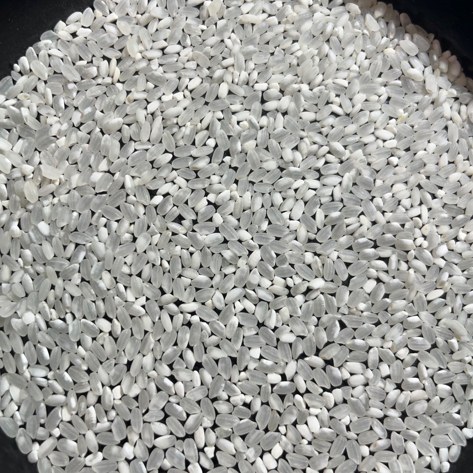 ブレンド米 24kg 岡山県産 令和7年産 新品 - メルカリ