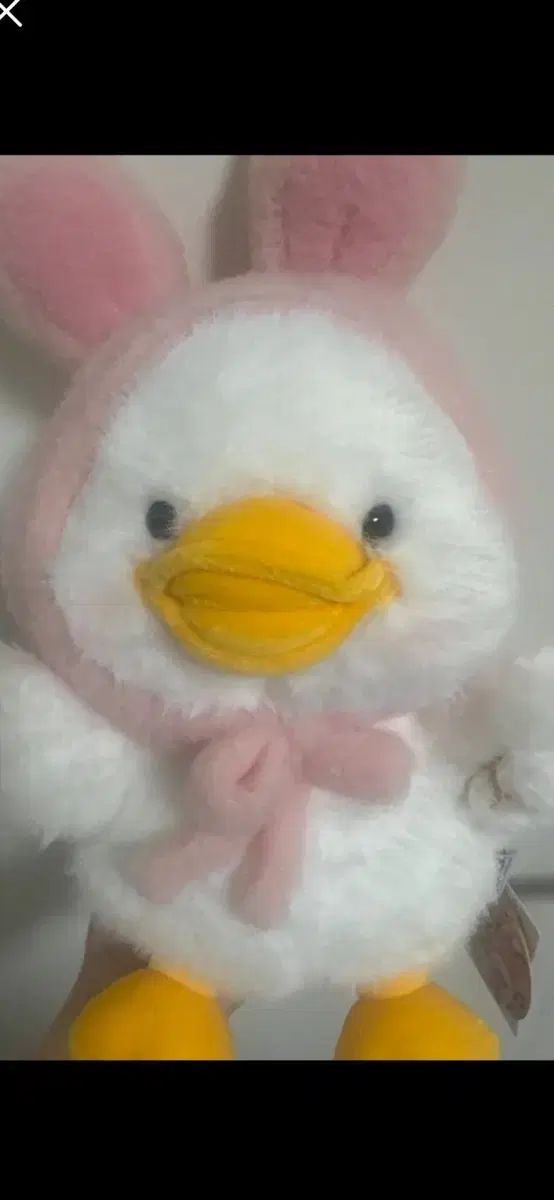 うさぎ ウール 帽子 アヒル ぬいぐるみ ぬいぐるみ アヒル 2セット