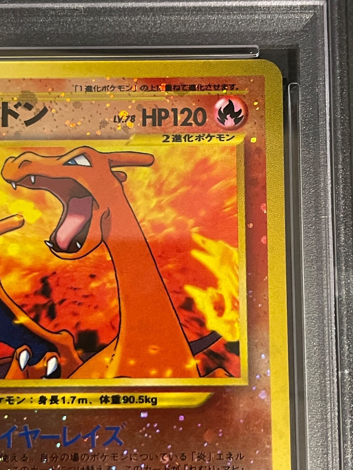 ポケモンカード 2000年 リザードン プレミアファイル2 Neo 旧裏 PSA8 