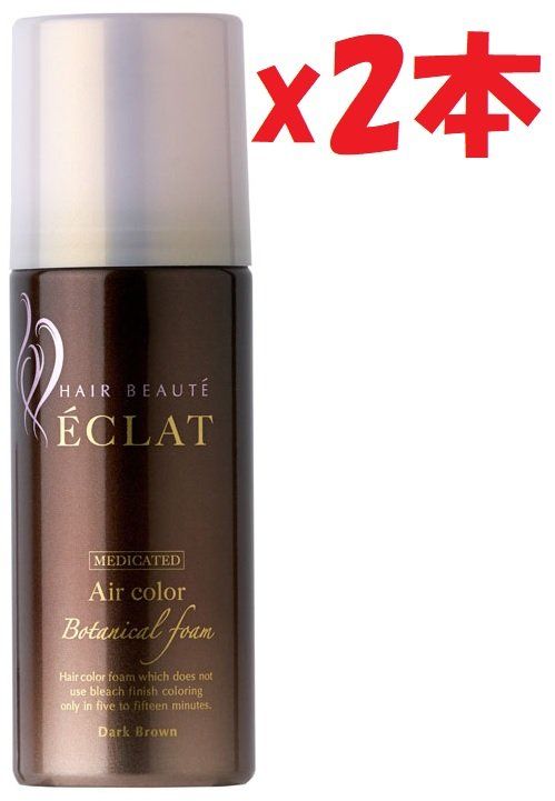 ［新品]ヘアボーテエクラ ボタニカルエアカラーフォーム ダークブラウン2本セット ヘアボーテ エクラ ボタニカルエアカラーフォームup｜フューチャーラボ