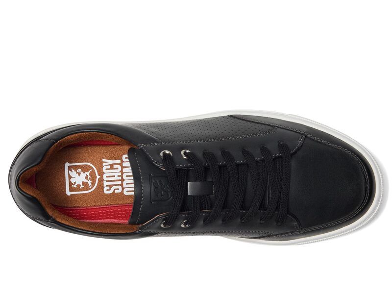 ステイシーアダムス メンズ シューズ スニーカー レース Stacy Adams Dorian LaceUp Sneakers Black ブラック