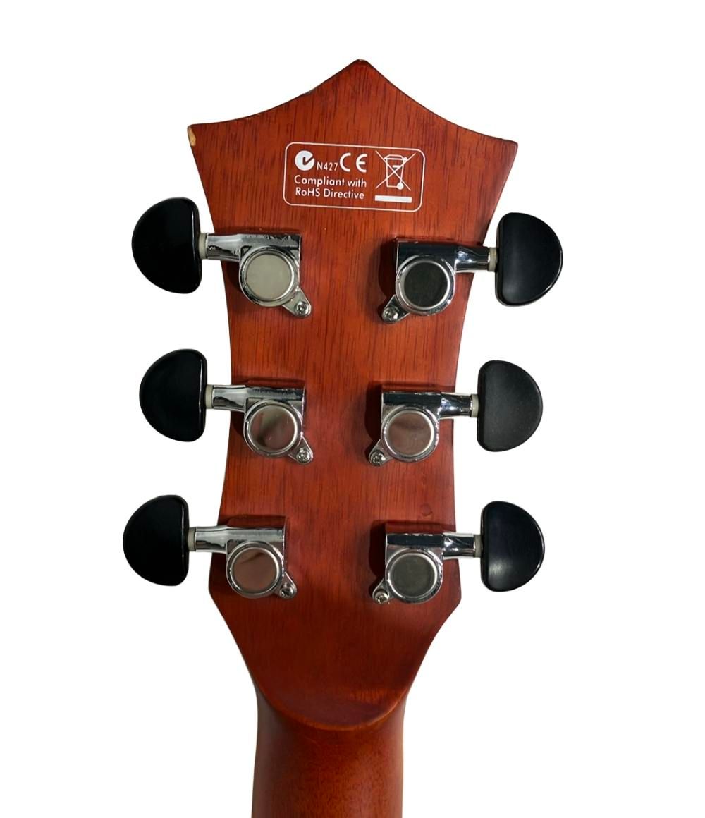 訳あり エリオス アコースティックギター B305 NS Elioth