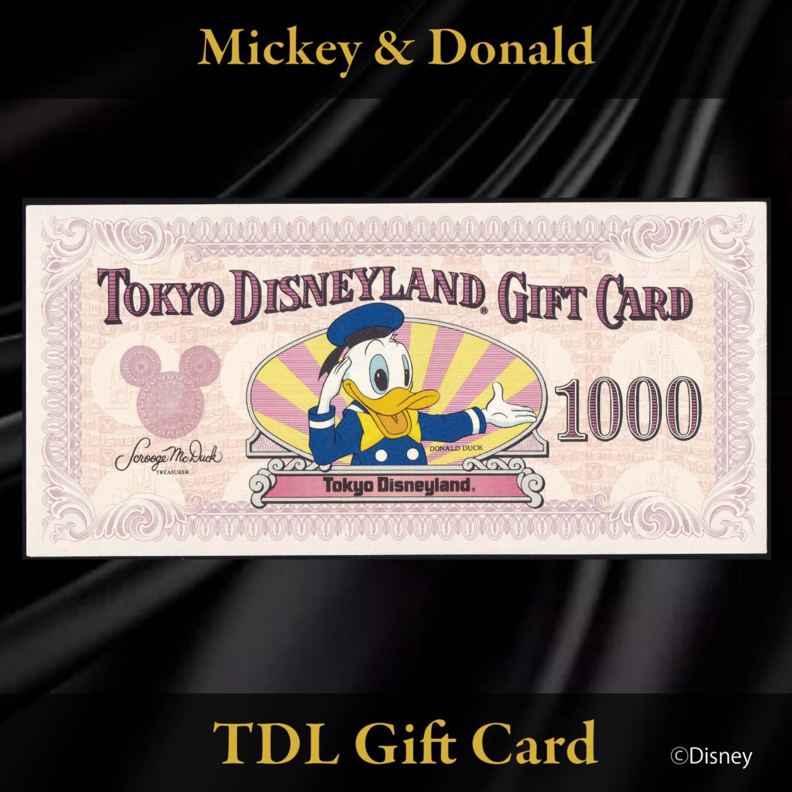 東京ディズニーランド ギフトカード 旧デザイン500円 & 1,000円券