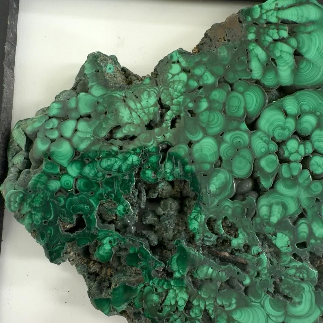  E33464 研磨 スライス マラカイト 孔雀石 Malachite 原石 天然石 鉱物 パワーストーン ミニトレイ 置物 インテリア小物