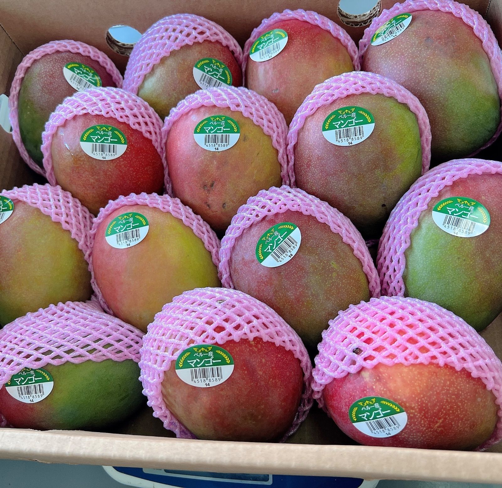 高級アップルマンゴー 6kg ペルー産 ケント種 甘くて美味しい - メルカリ