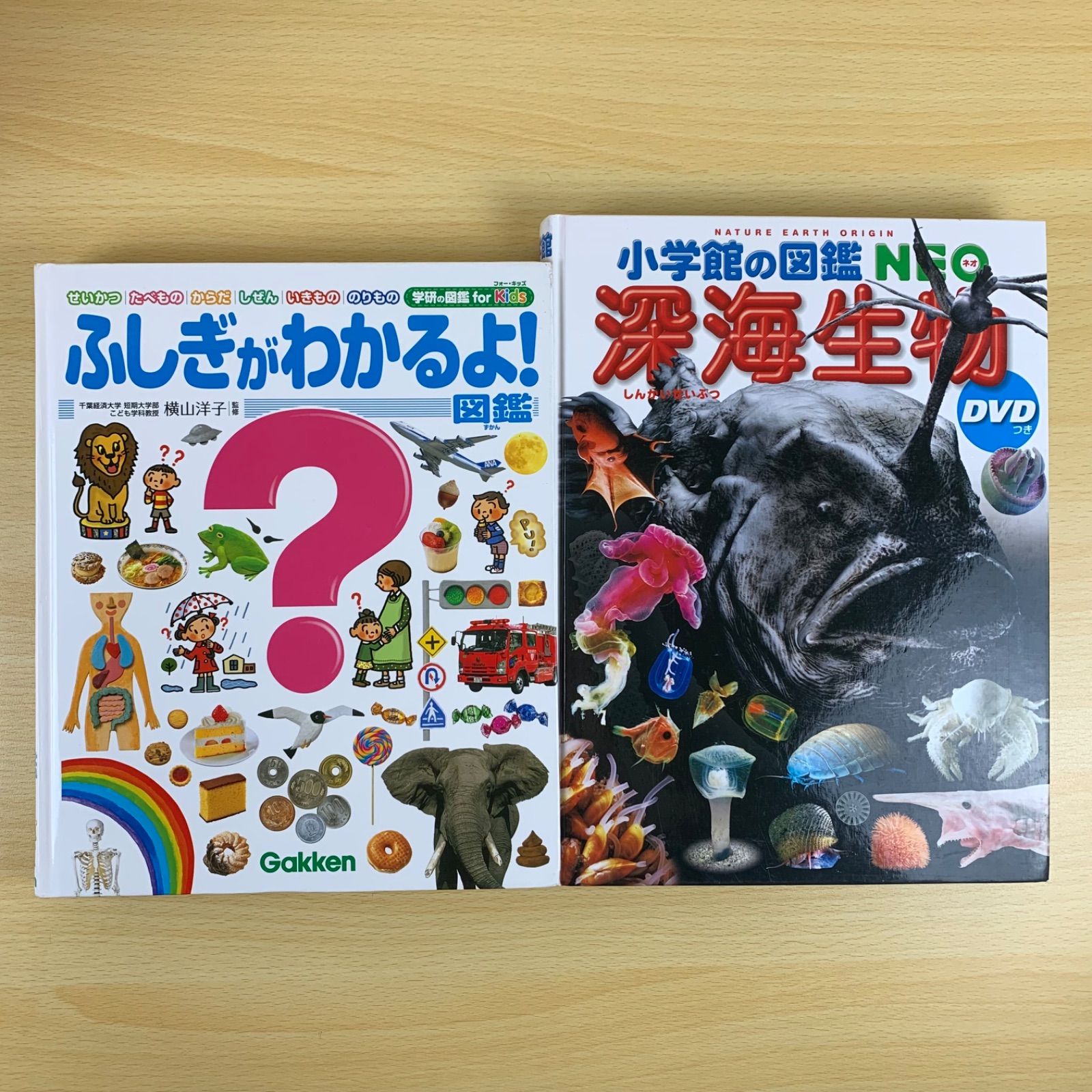 s-1100　図鑑セット　12冊　児童　子供　こども　学習　勉強 Amazon.co.jp: せいかつの図鑑 : 流田 直: Japanese Books