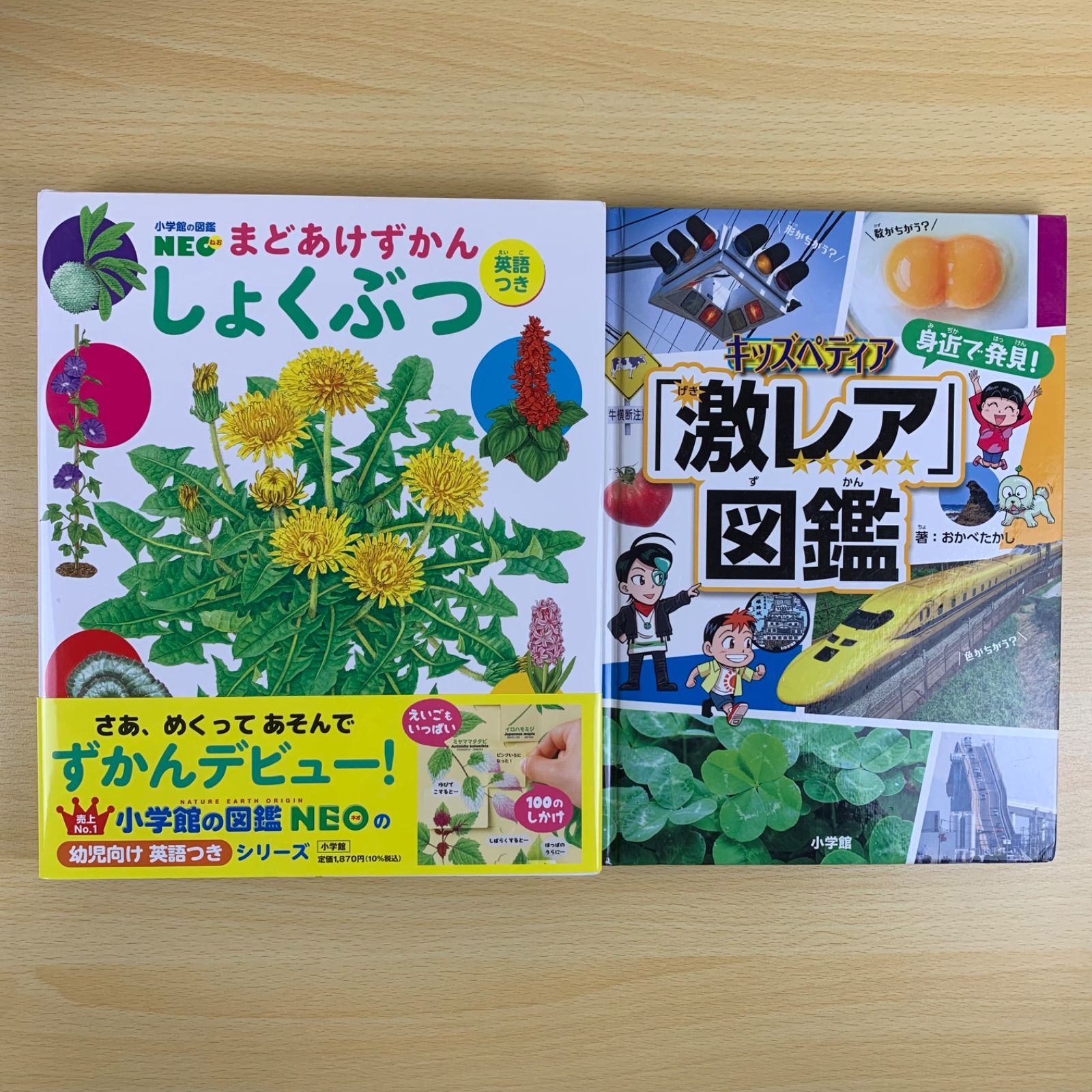 本 ※DVDなし 小学館の図鑑ネオ neo 7冊セット