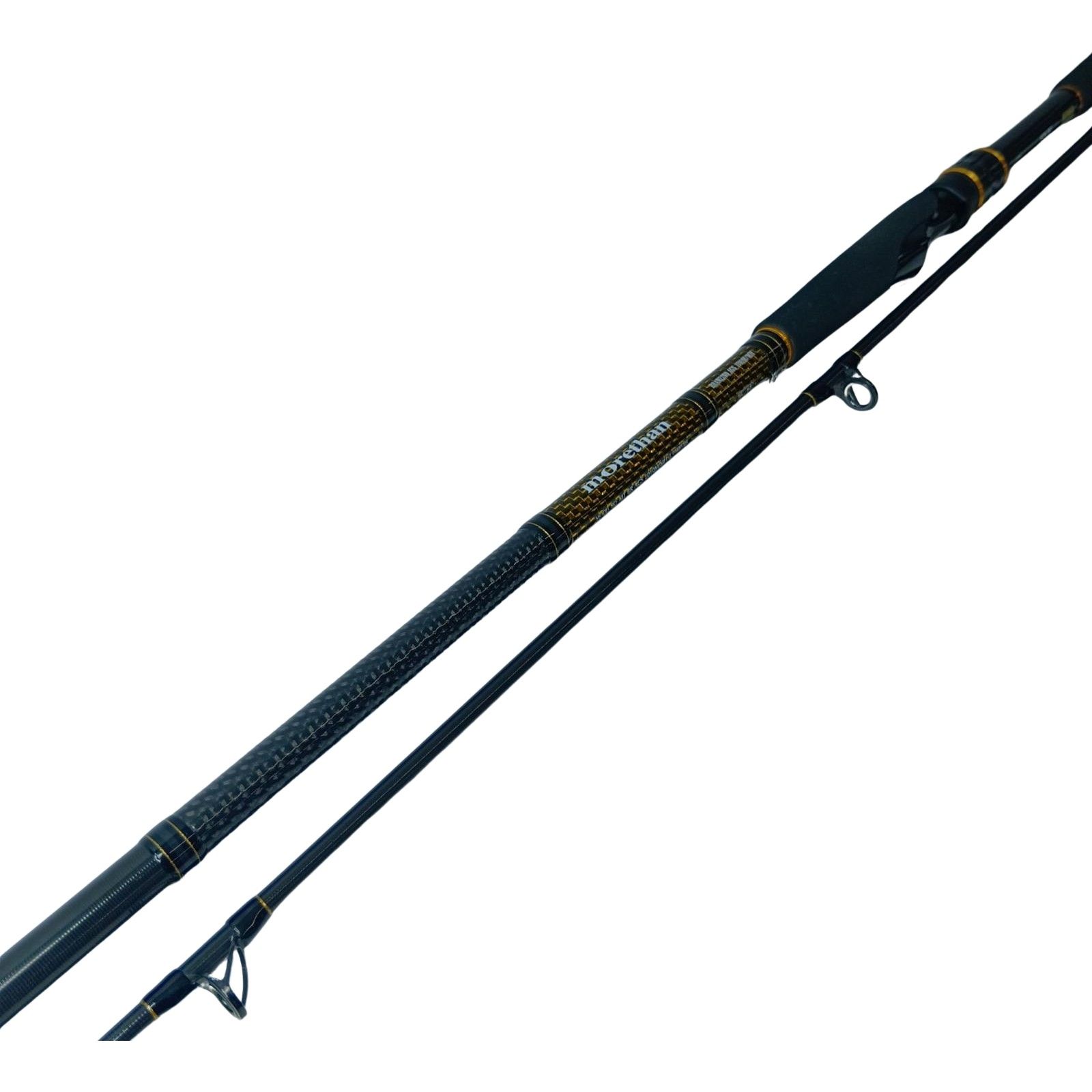 DAIWA ダイワ シーバスロッド モアザン ブランジーノ AGS 1010M/MH・J