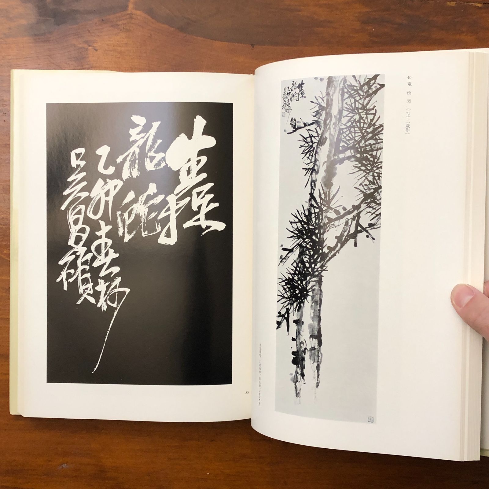 呉昌碩の画と賛 青山杉雨 二玄社 1976年4月10日発行 ☆中国美術/文人画