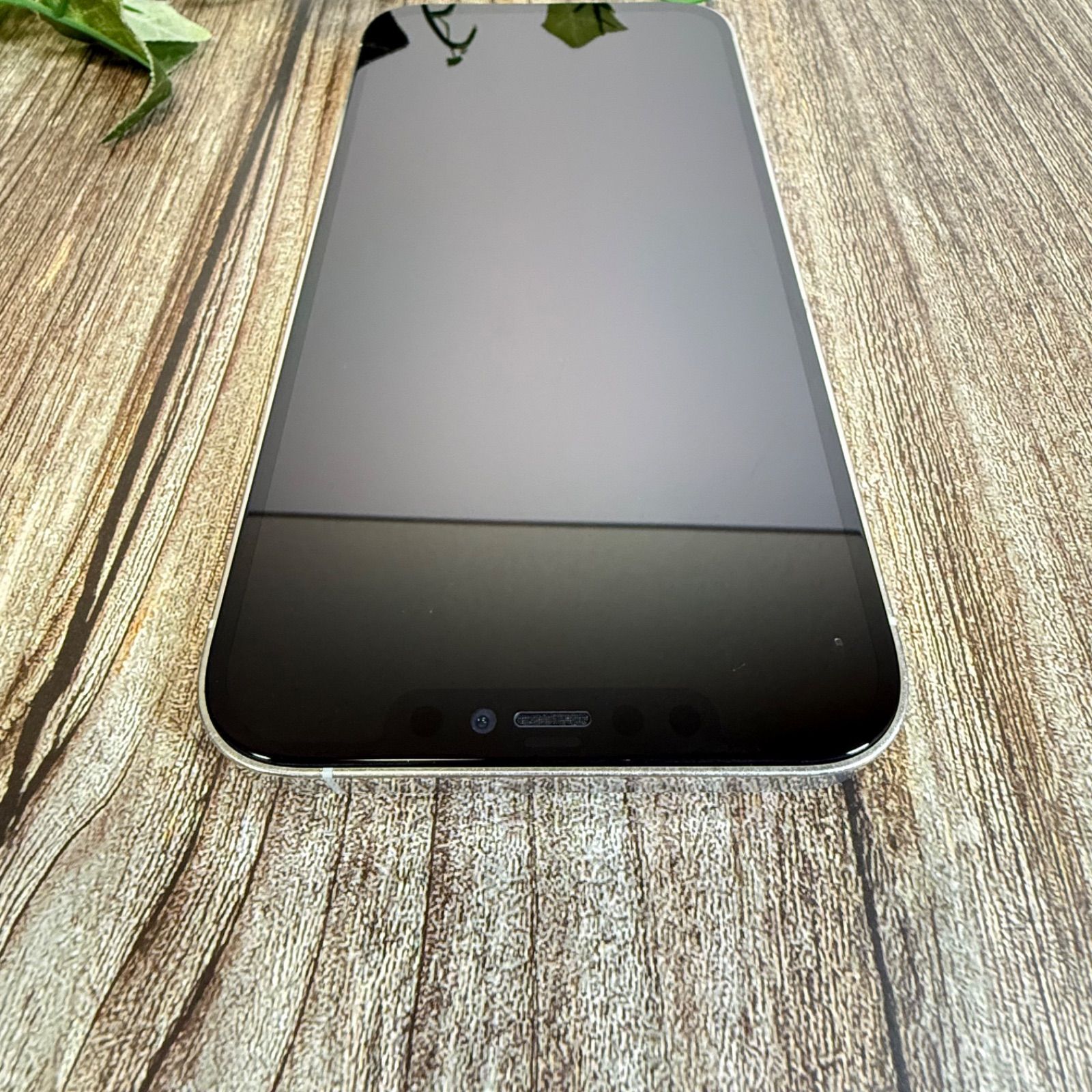 新品バッテリー100%】iPhone 12 Pro Max 256GB シルバー SIMフリー 