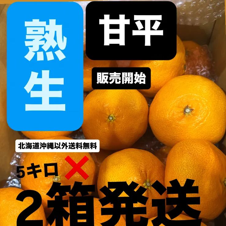 数量限定】熟成甘平 10kg 2箱 秀品 産直- メルカリ