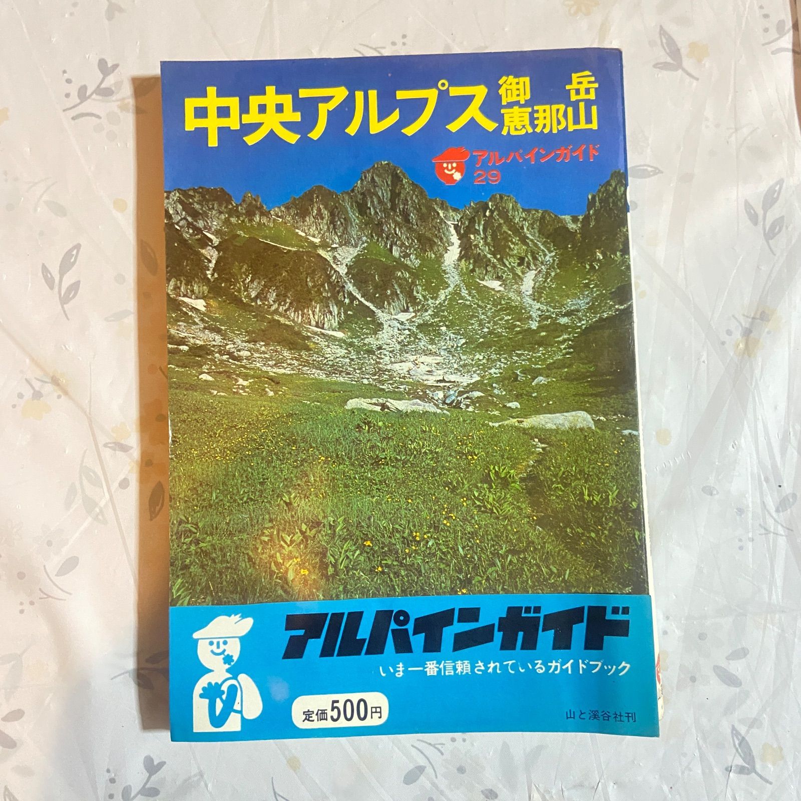 アルパインガイド 29 中央アルプス 御嶽山 恵那山 昭和50年発行 - メルカリ
