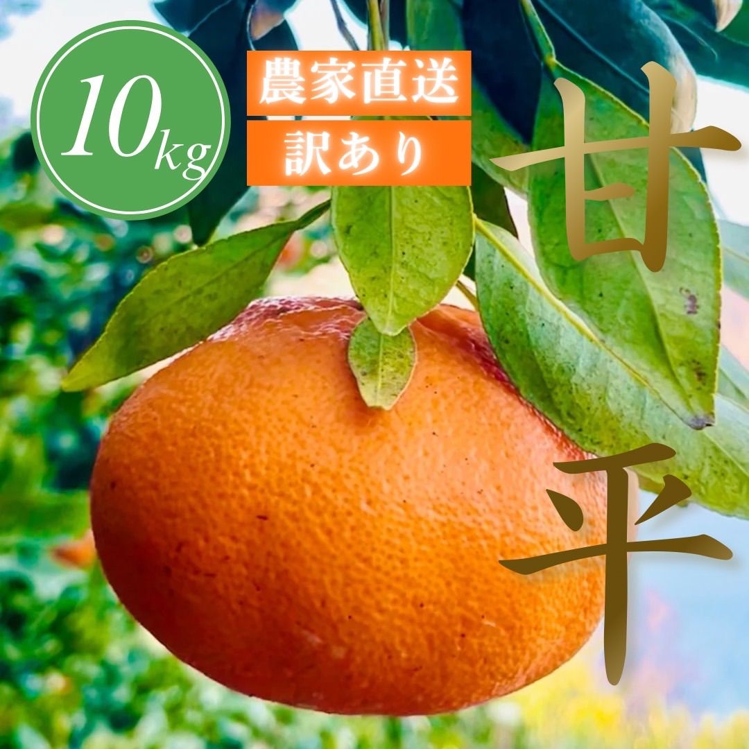 訳あり甘平 約10kg 愛媛県八幡浜産 濃厚甘み＊送料無料 - メルカリ