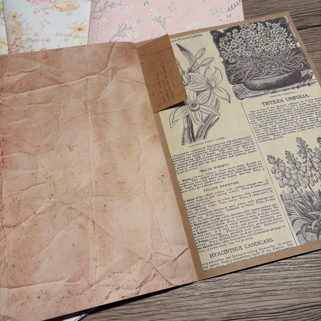 数量限定！⭐︎素材セット⭐︎雑記帳 ジャンクジャーナル コラージュ