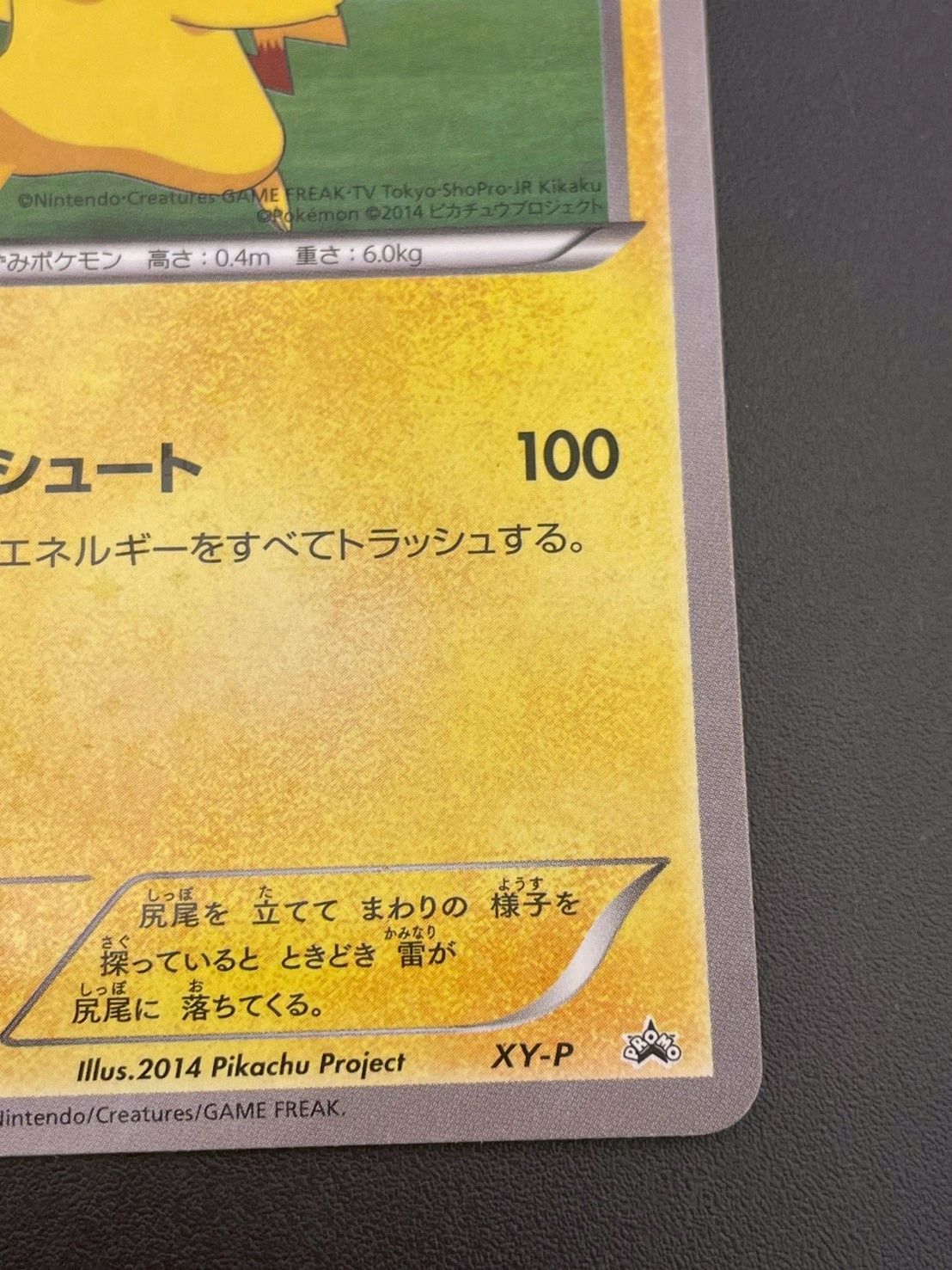 中古品】 ピッチのピカチュウ XY-P Jリーグ対象試合観戦配布 ポケモン