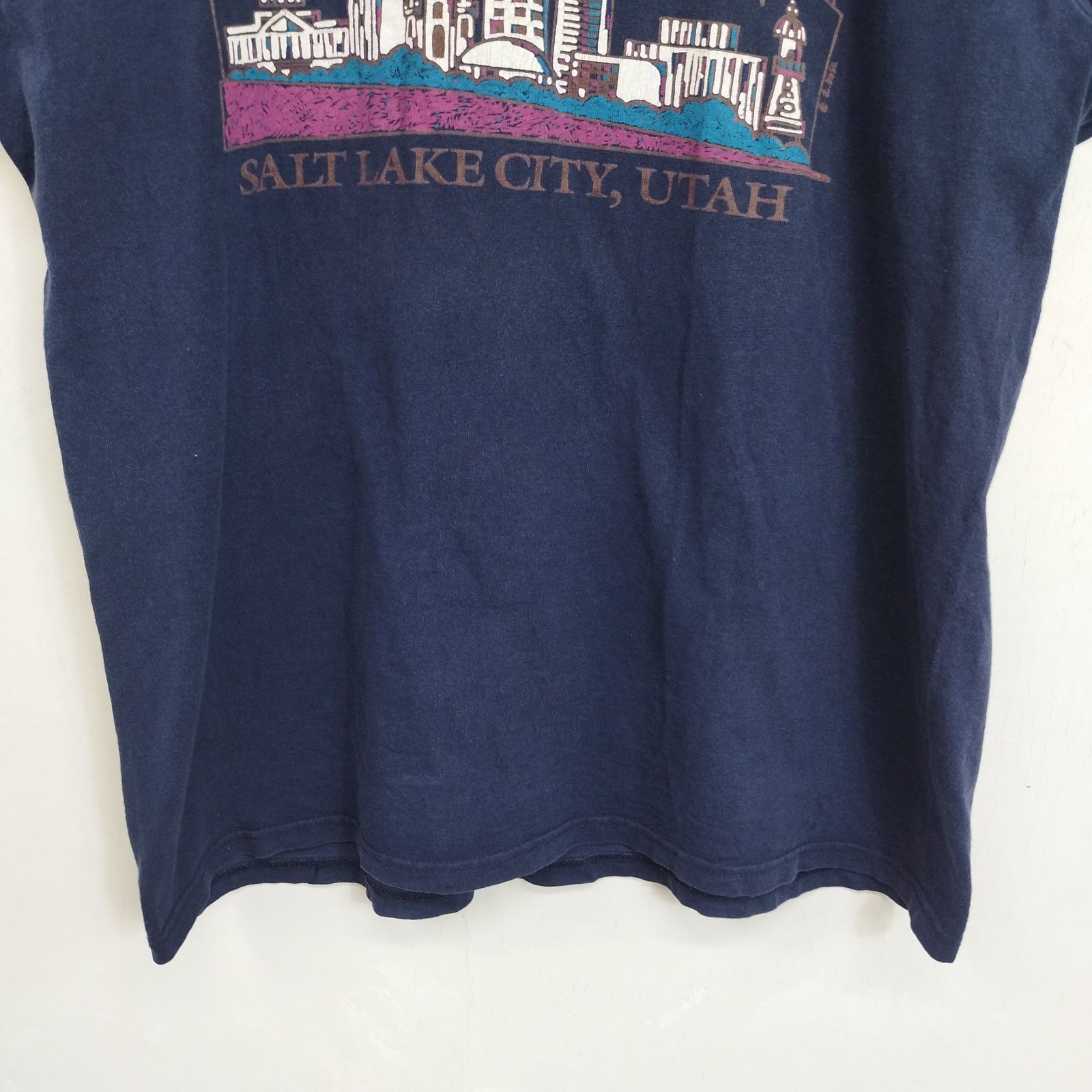 90s GILDAN UTAH アート Tシャツ 半袖 プリント SALT LAKE CITY USA製 