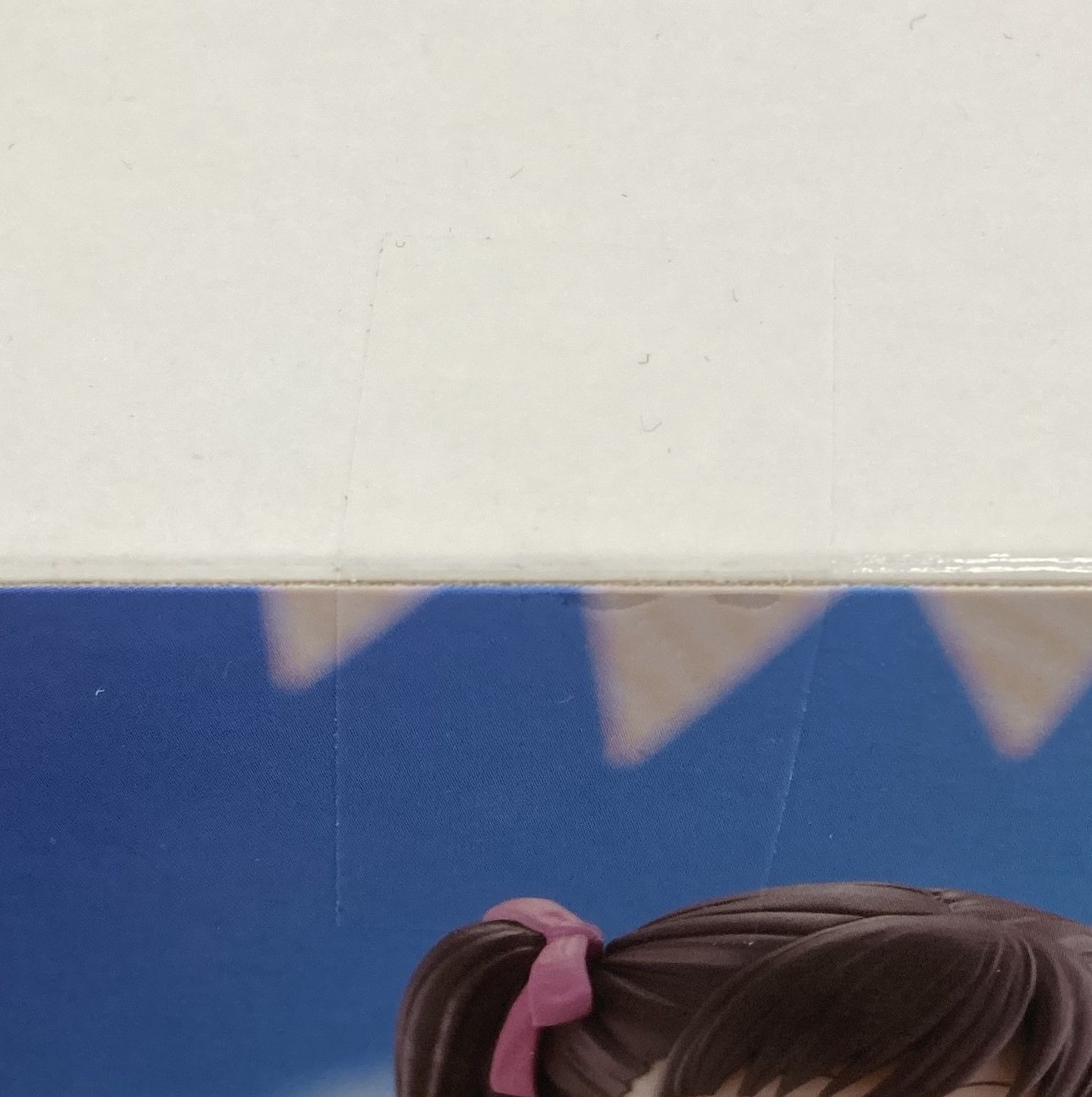 27. フィギュア 園田智代子 アイドルマスター シャイニーカラーズ