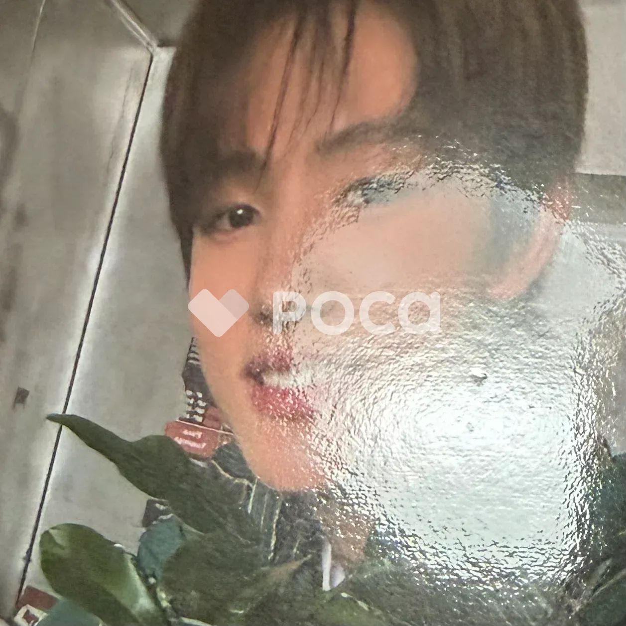 CORTIS ソンヒョン CORTIS 2026 シーグリ - メルカリ