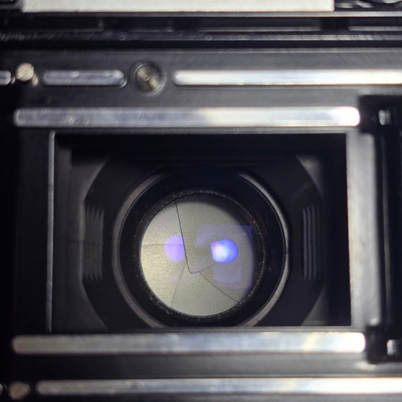 OLYMPUS 35DC レンジファインダー フィルムカメラ 整備済 【公式通販】