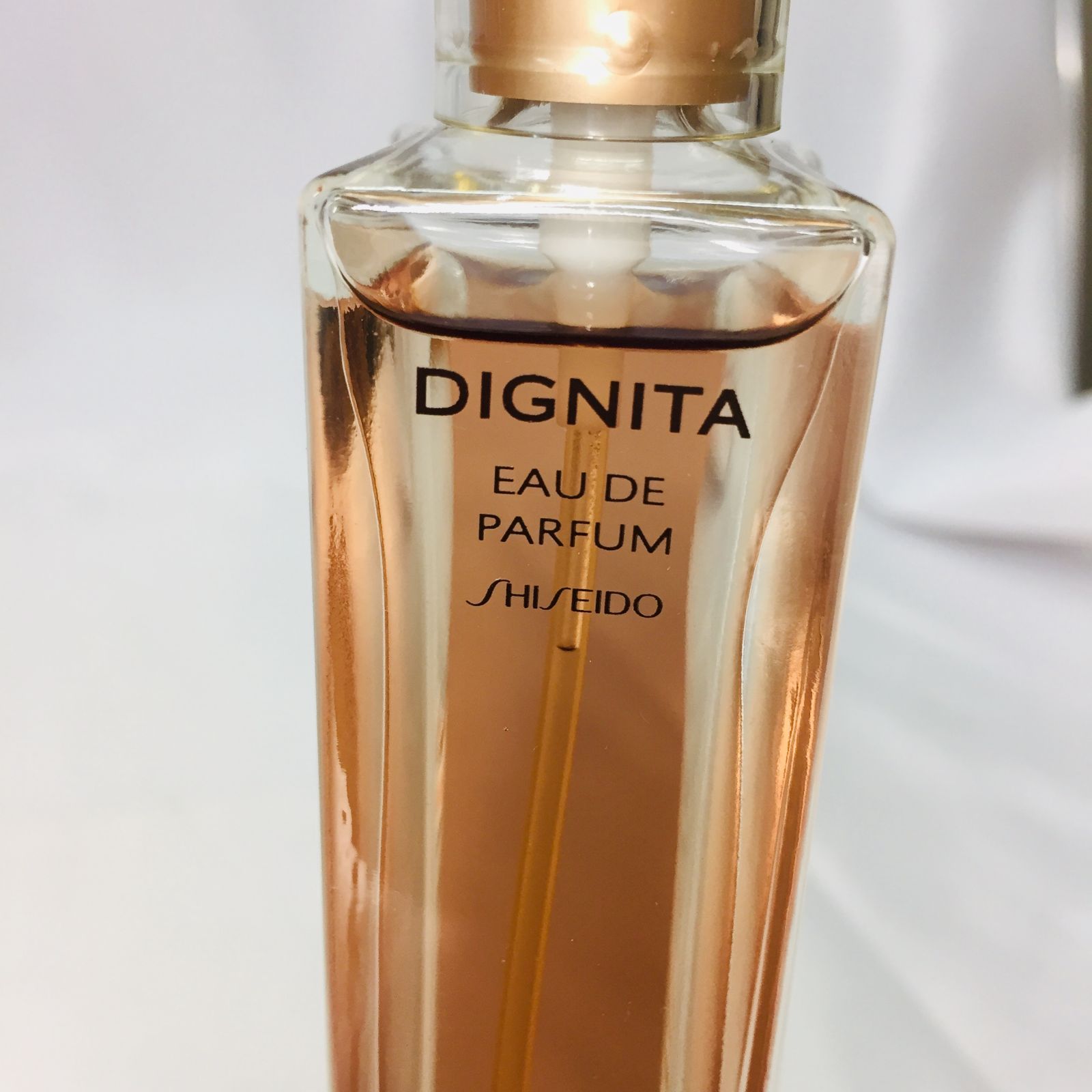 S【香水】廃盤 資生堂 ディグニータ SHISEIDO EDP 50ml パフューム