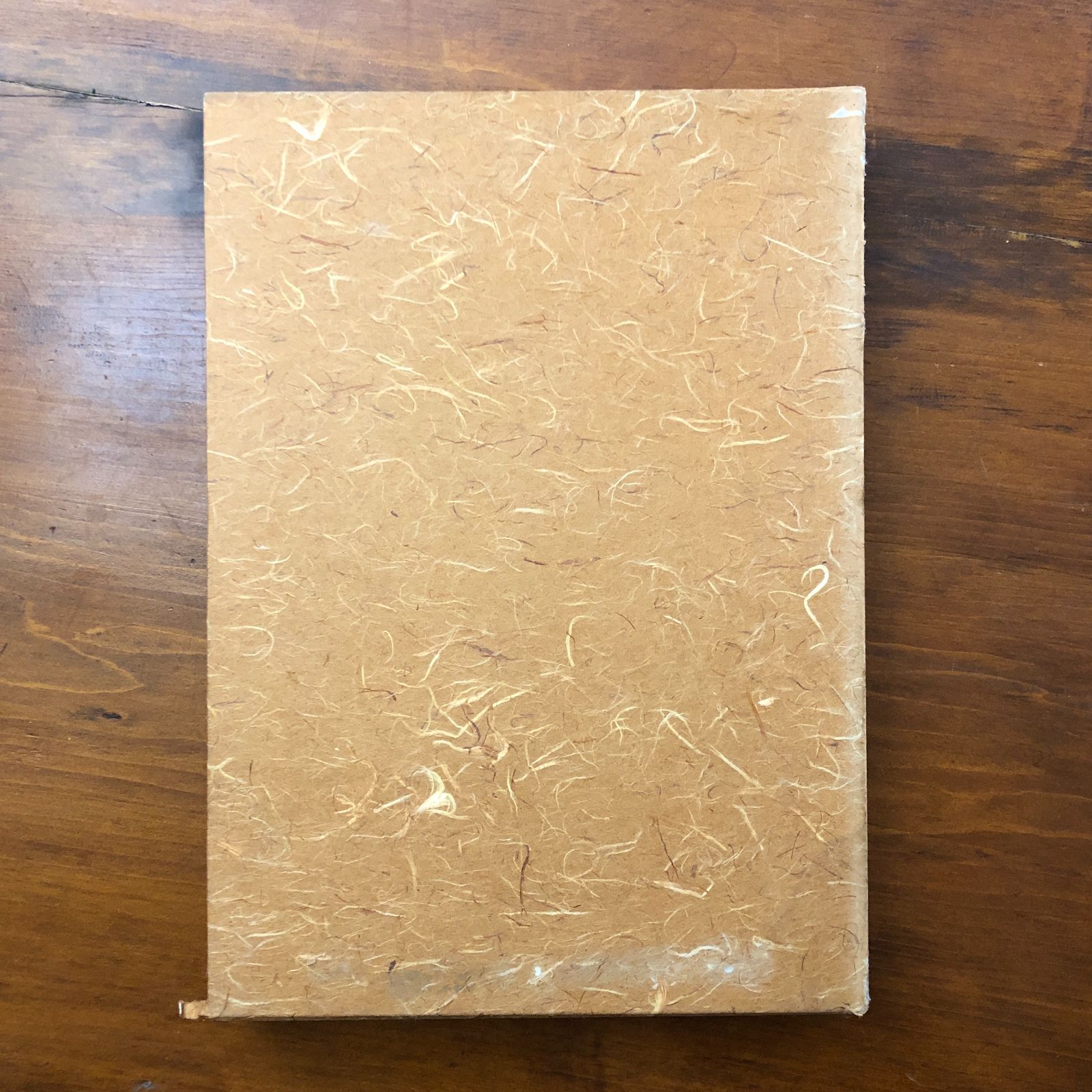 趙之謙 一覆刻悲?勝墨 株式会社東京堂出版 昭和57年1月25日発行 ☆書道