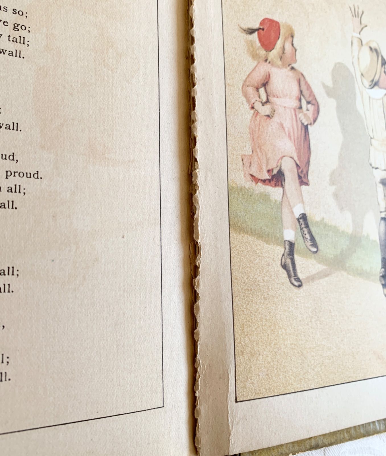 1888年 アメリカ アンティーク絵本 古書の美しい印刷 年代物の希少本