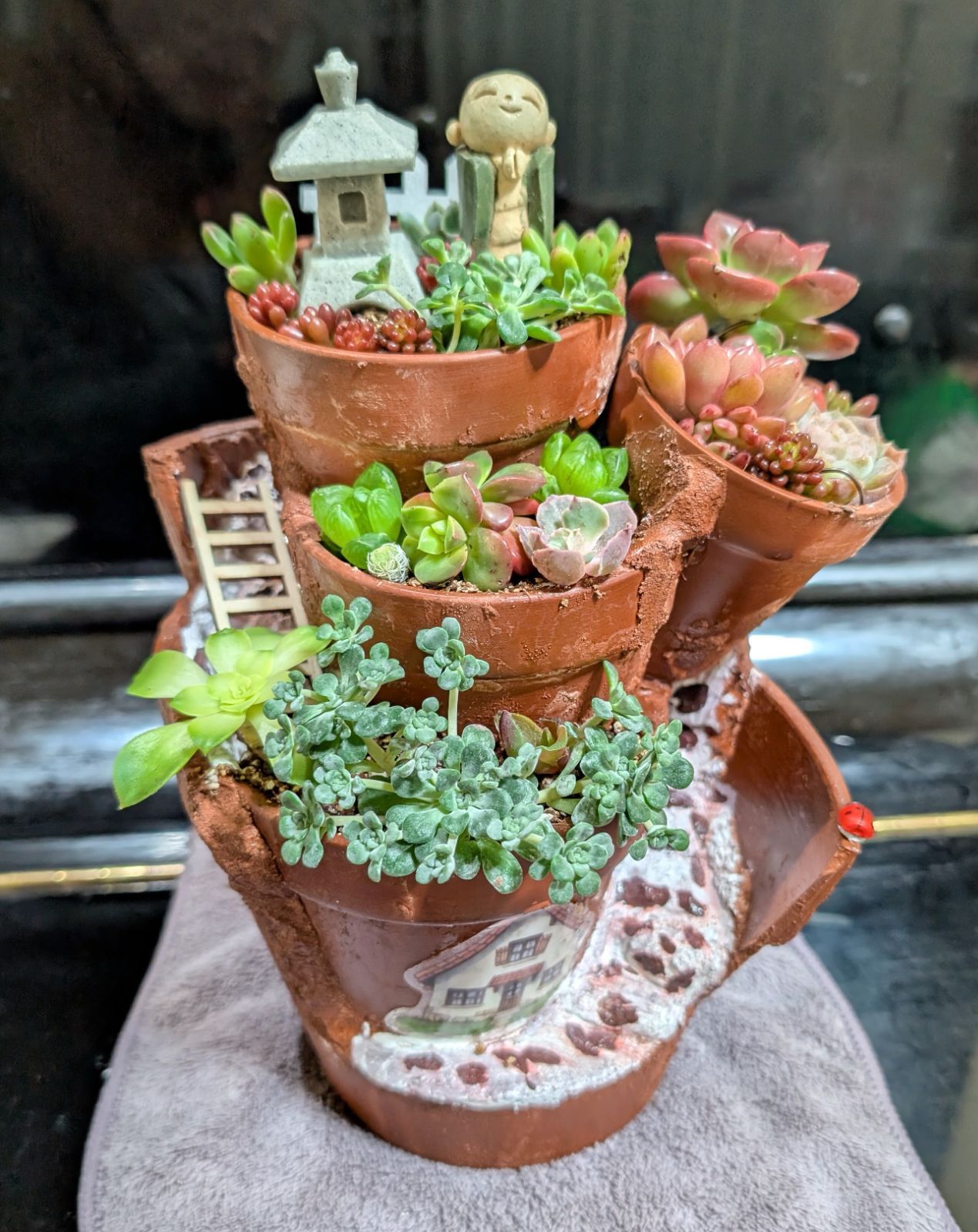 030201多肉植物の寄せ植え☆組鉢作品☆お地蔵さん - メルカリ