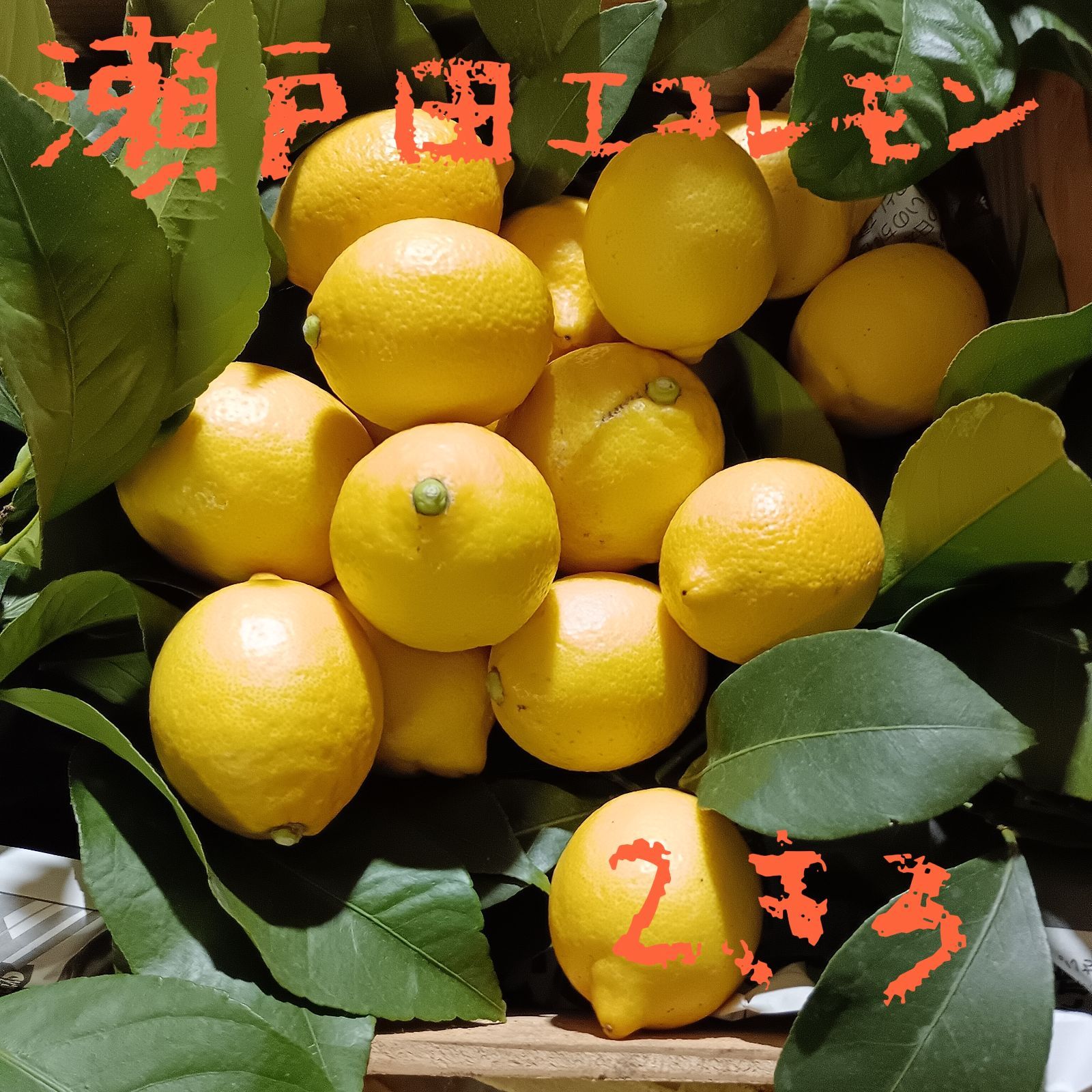 広島県産 減農薬レモン 2kg＊瀬戸内レモン - メルカリ