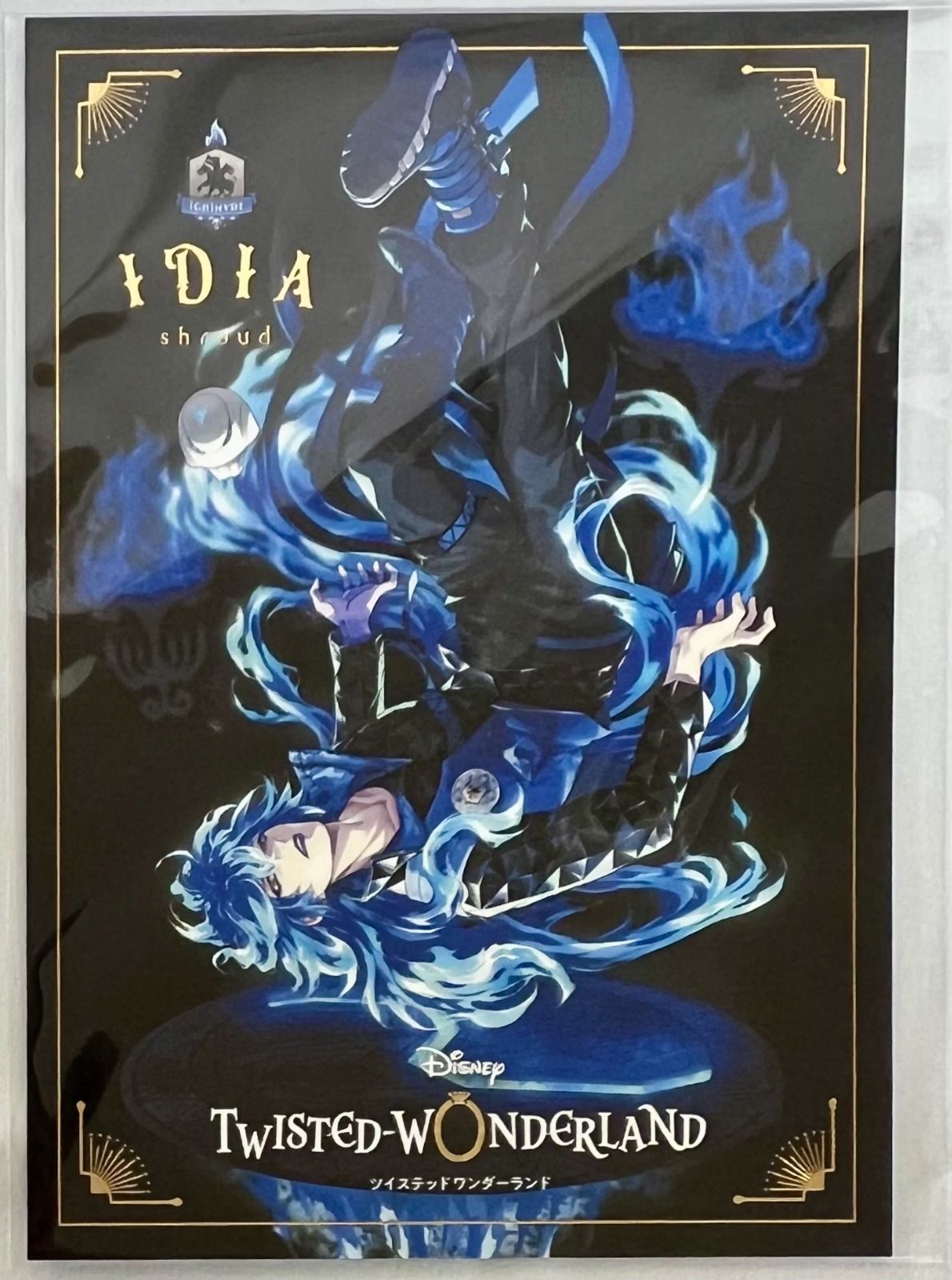 未開封、箱傷みあり ディズニー ツイステッドワンダーランド イデア