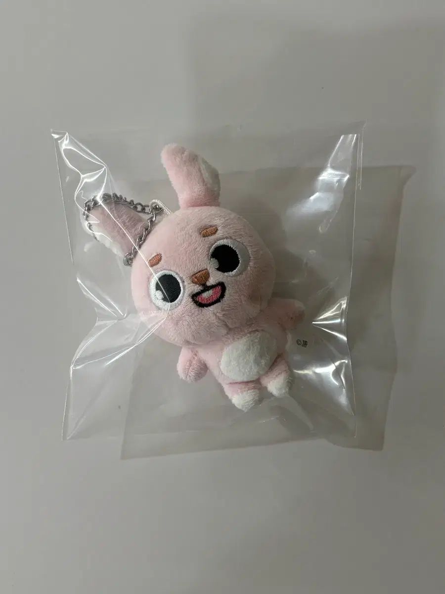 DAY6（デイシックス）日本 バッグチャーム ウォンピル(WONPIL) - メルカリ