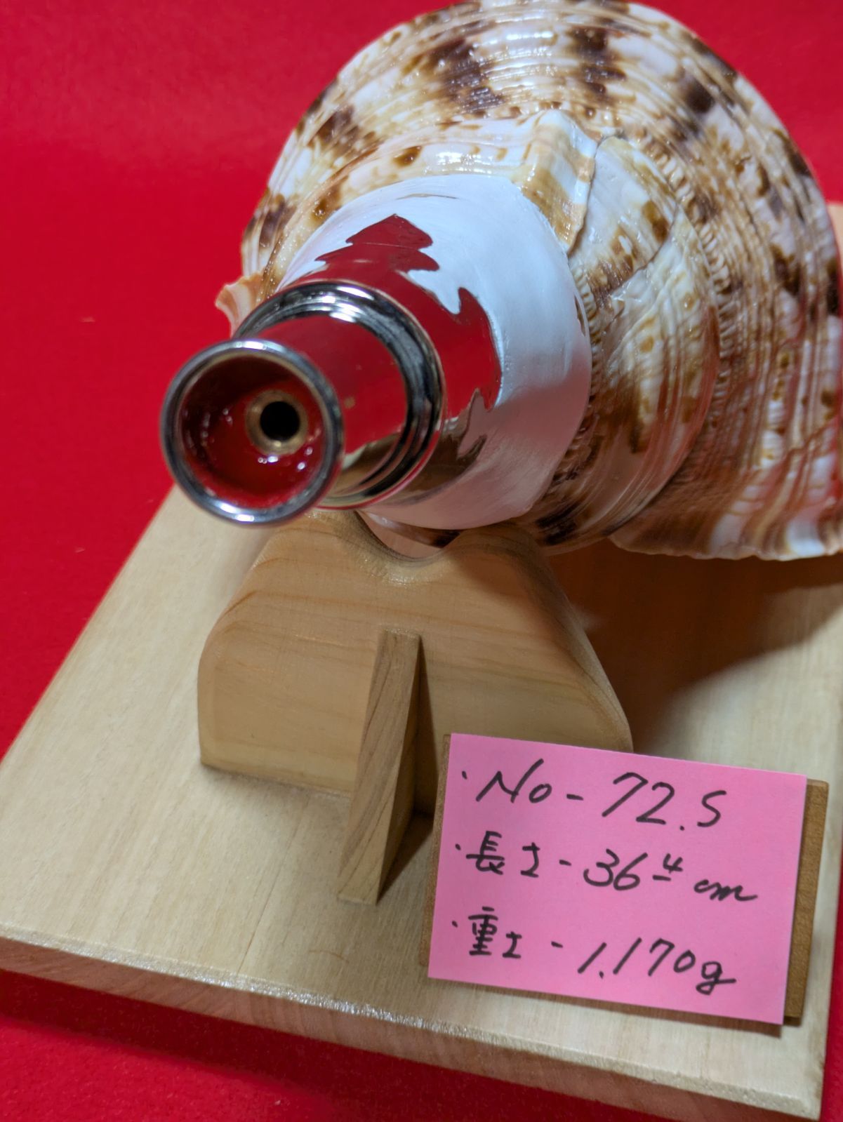 NO−72.S #法螺貝#金具入り#ほら貝#ホラ貝#修験道#和楽器#新品未使用