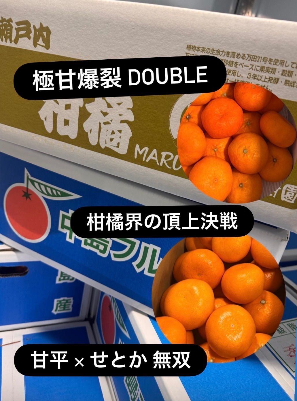 🍊極甘爆裂DOUBLE🍊甘平×中島せとか赤秀✨単品より圧倒的にお得‼️箱込