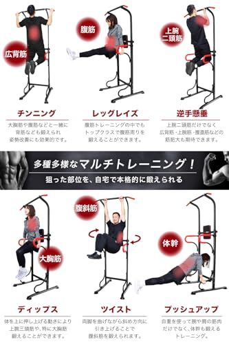 PYKES PEAK (パイクスピーク) ぶら下がり健康器 懸垂マシン 懸垂バー