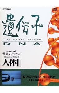 DVD／驚異の小宇宙 人体III 遺伝子 VOL.6 パンドラの箱は開かれた